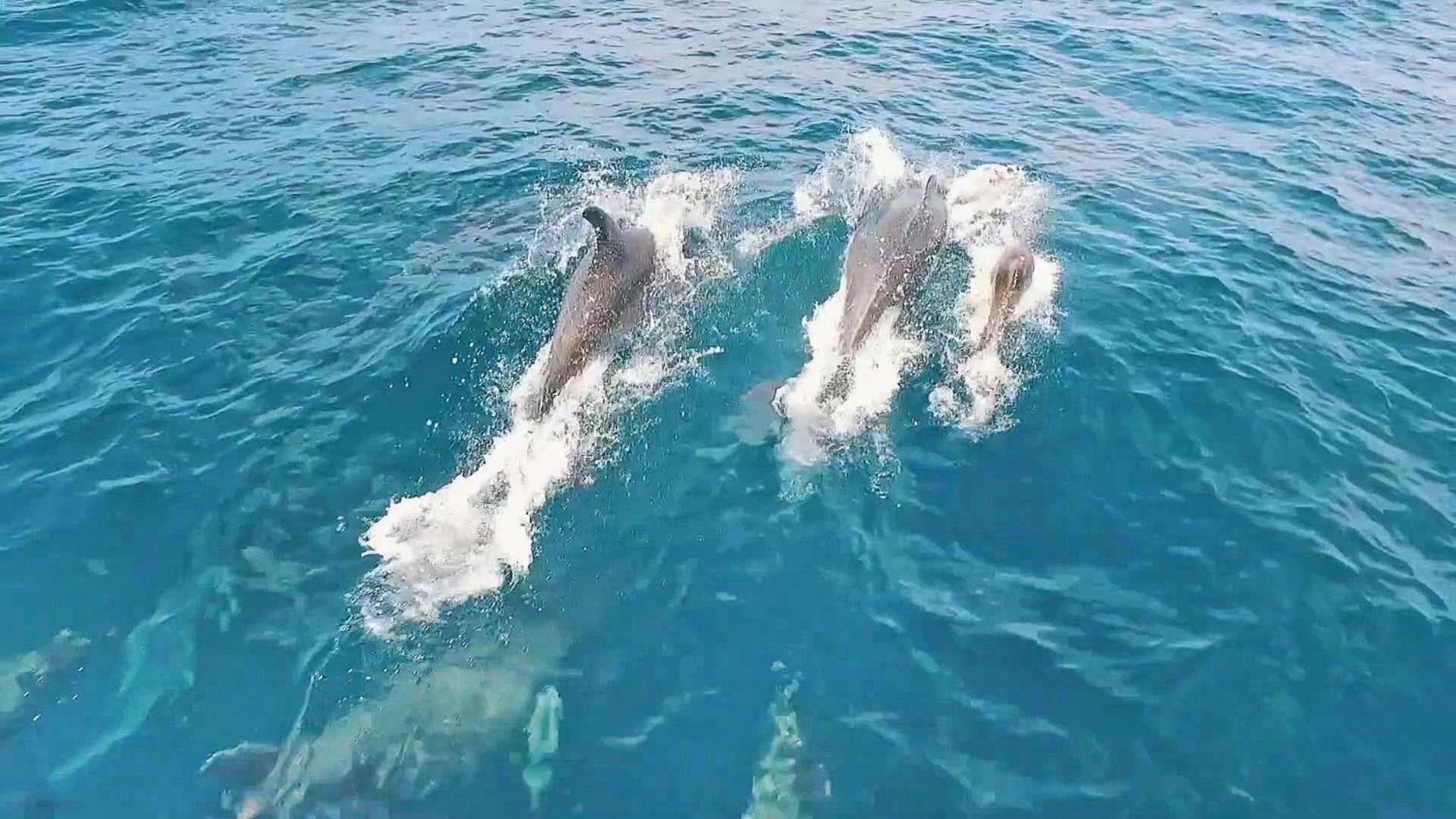 Belize By Algarve Vacation Villa *