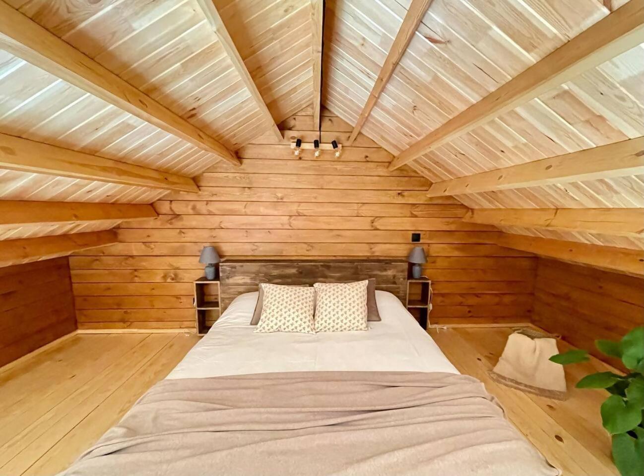 Mountain Eco Shelter 6 Luxury tent *