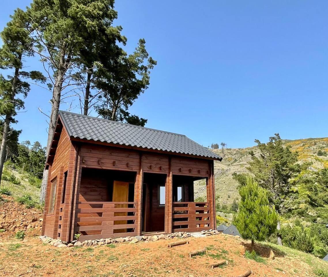 Luxury tent Mountain Eco Shelter 6 *