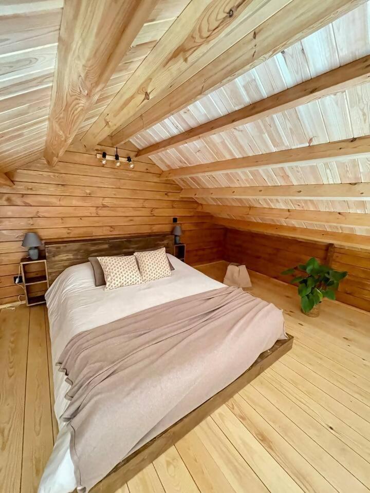 Luxury tent Mountain Eco Shelter 6 Funchal (Madeira)
