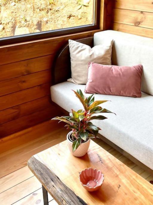Mountain Eco Shelter 8