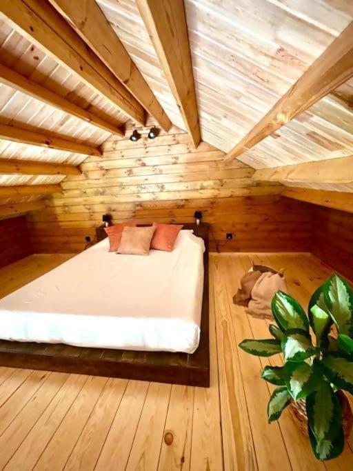 Mountain Eco Shelter 8 Funchal (Madeira)