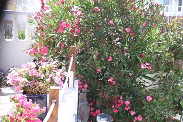 Bed & Breakfast Mappamundo Ribamar (Torres Vedras)