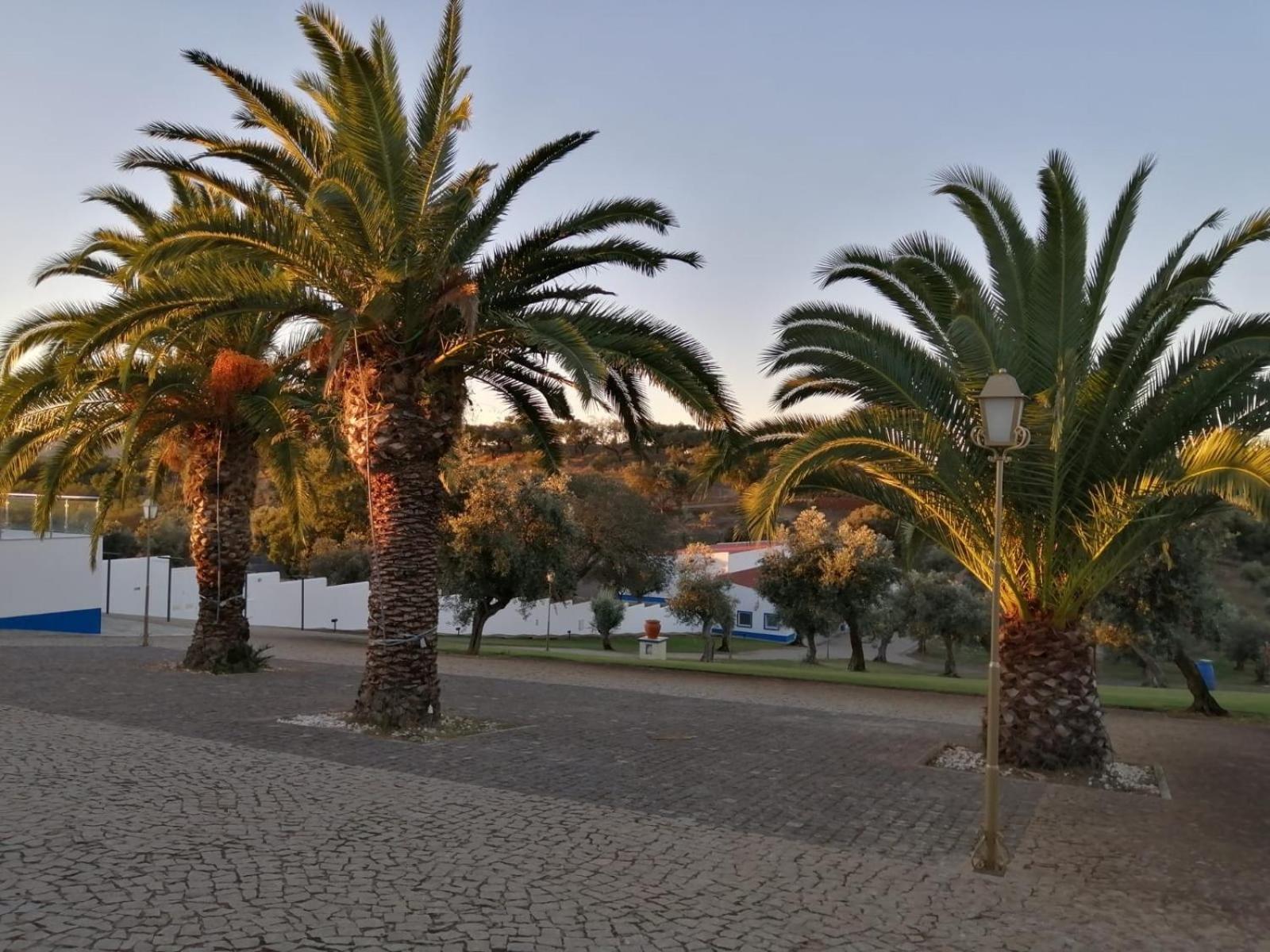 Monte Da Pechincha Bed and breakfast Estremoz