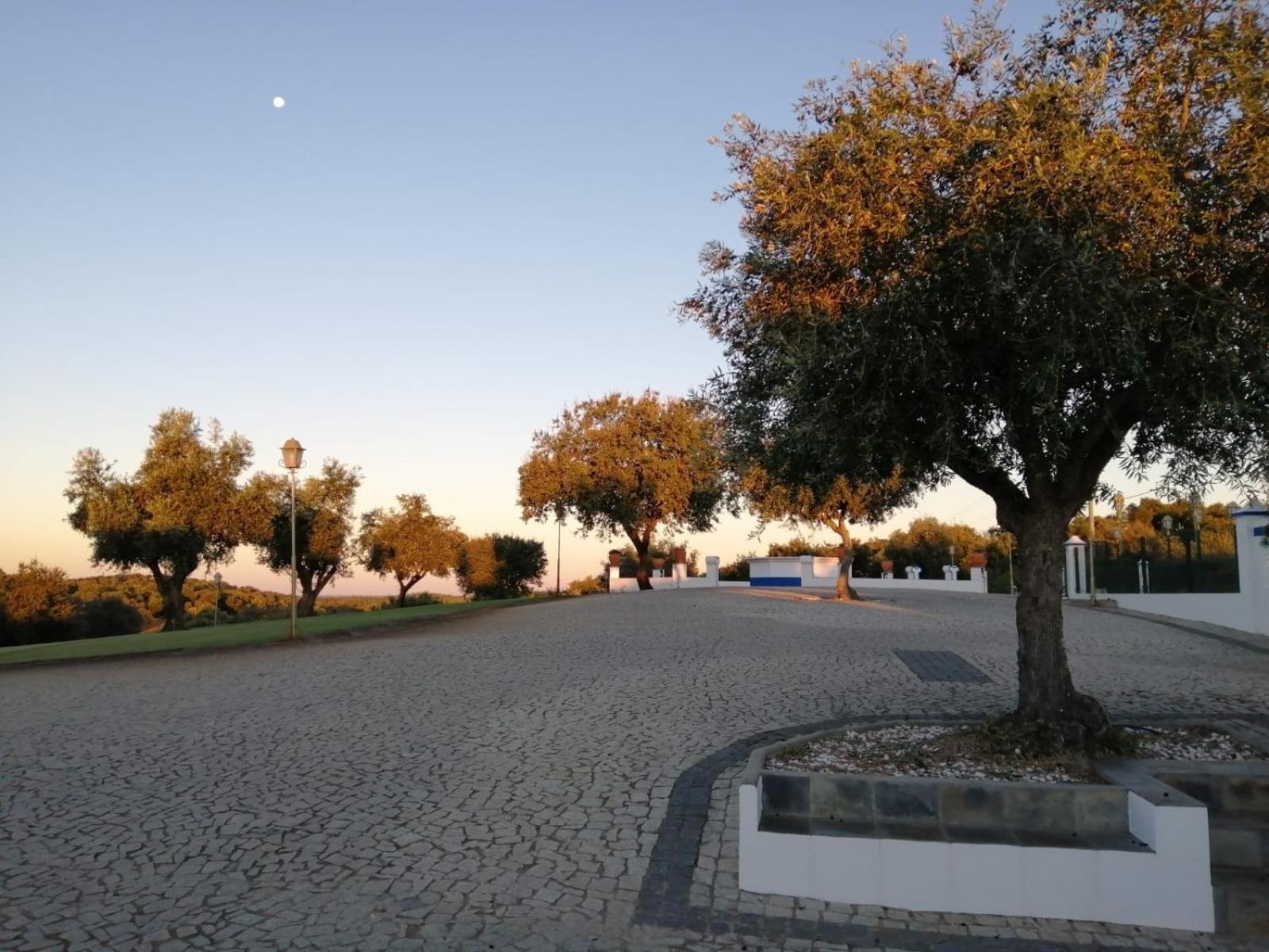 Monte Da Pechincha