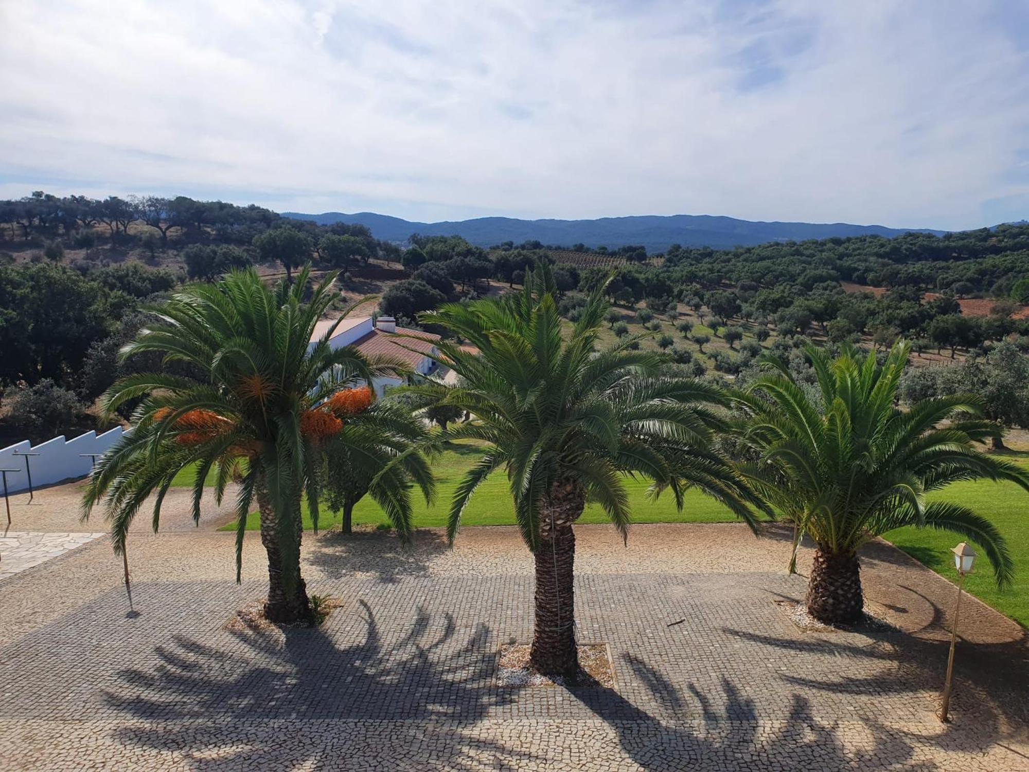 Bed and breakfast Monte Da Pechincha