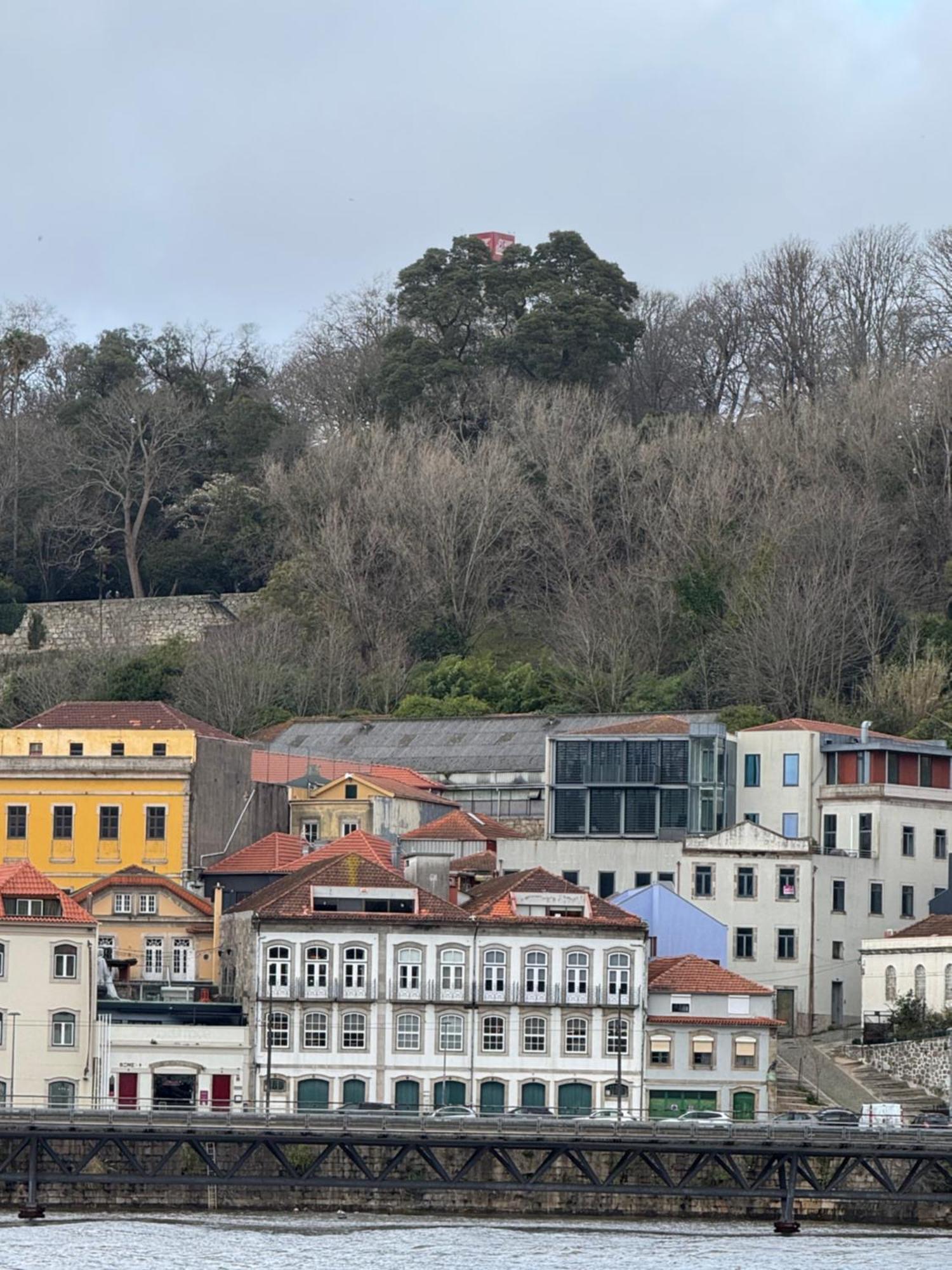 Amazing Premium Douro River Views Apartamento *