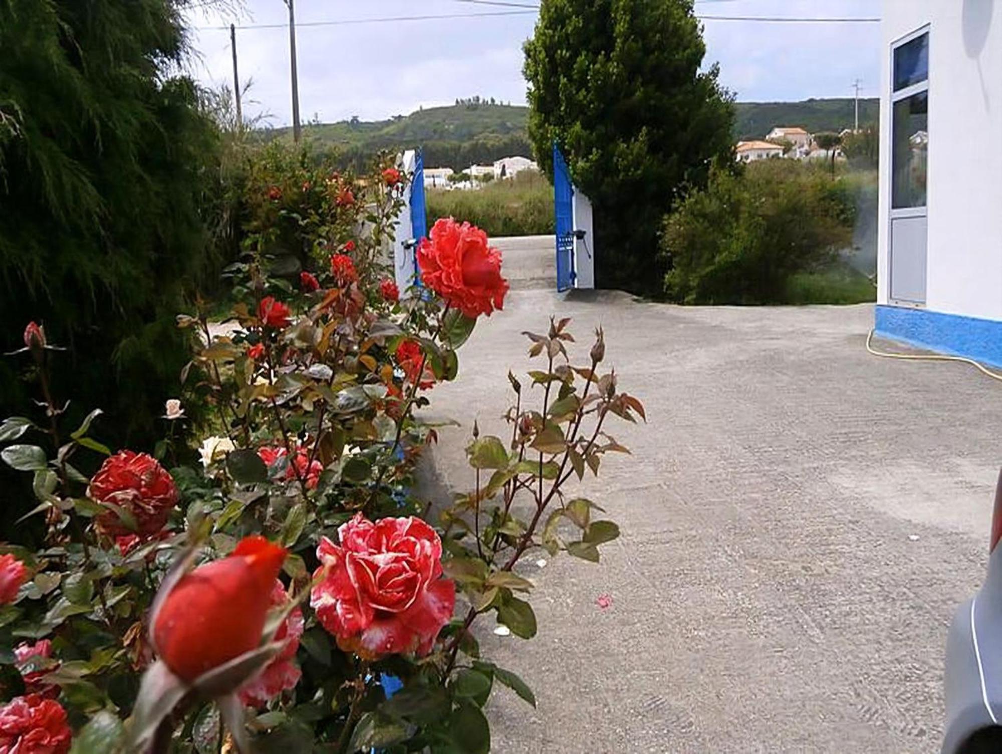 Typischste Region Portugals * Nazaré