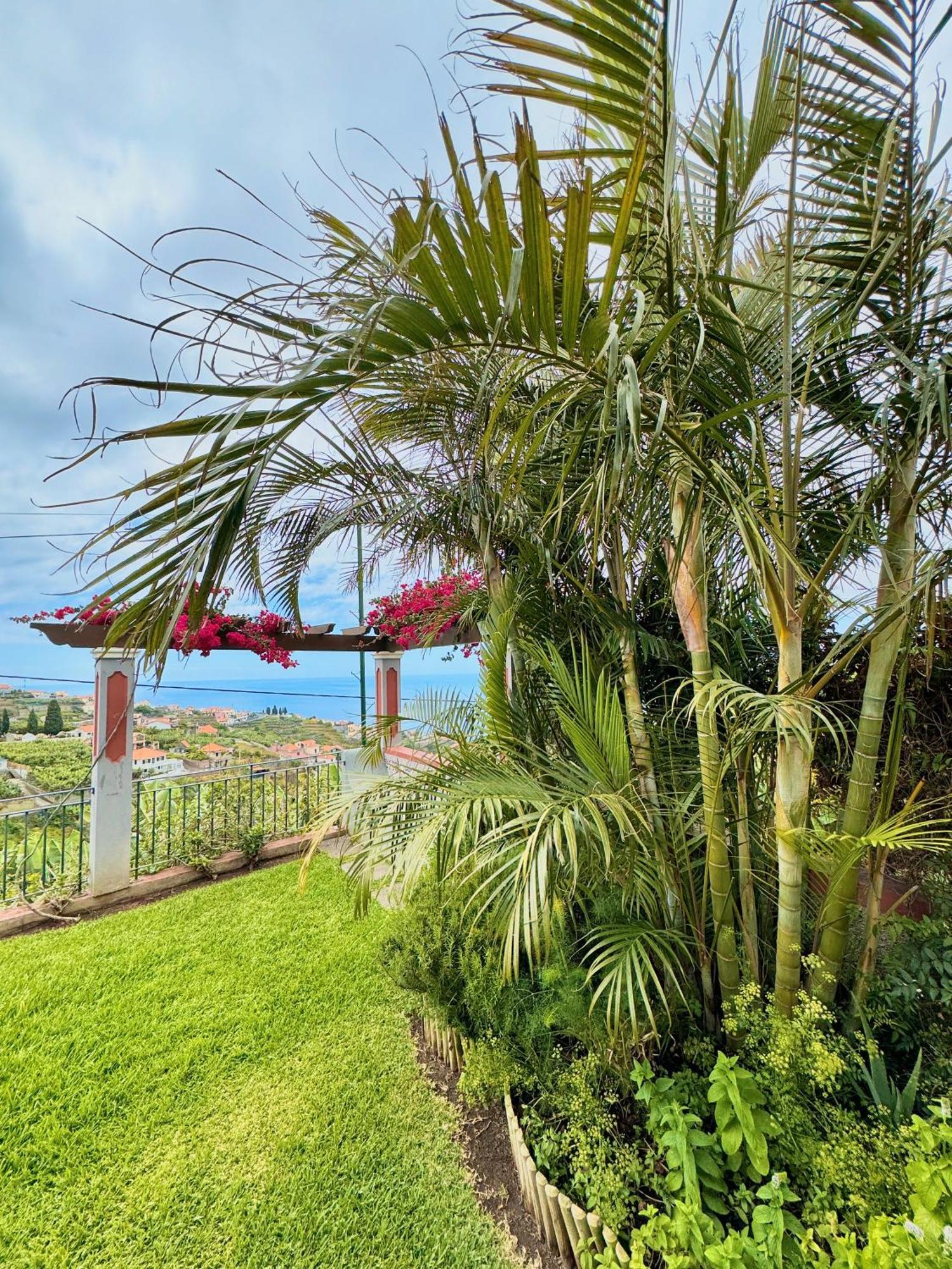 Casa Do Piquinho Holiday home