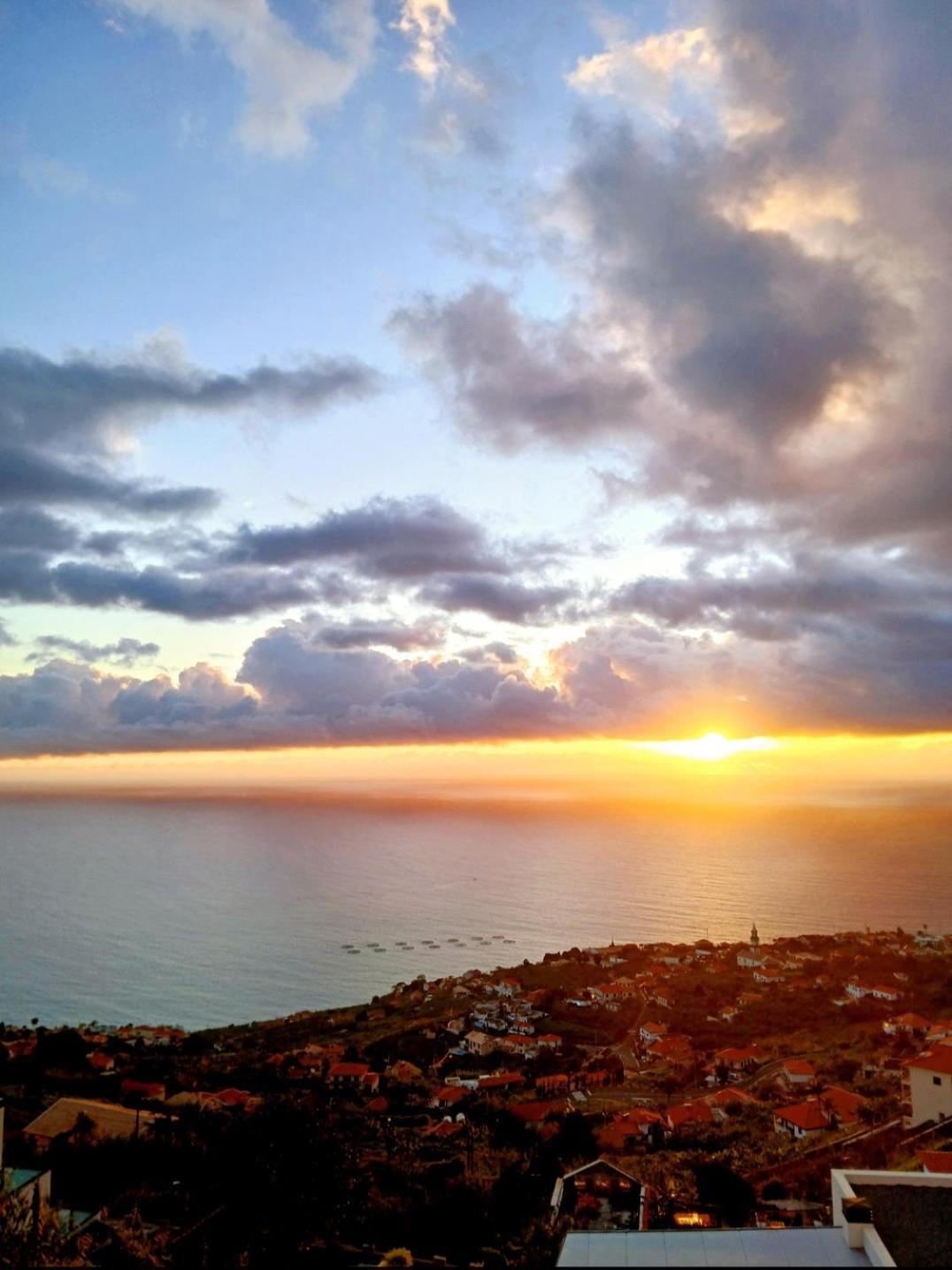 The Artist House Guest house Arco da Calheta (Madeira)