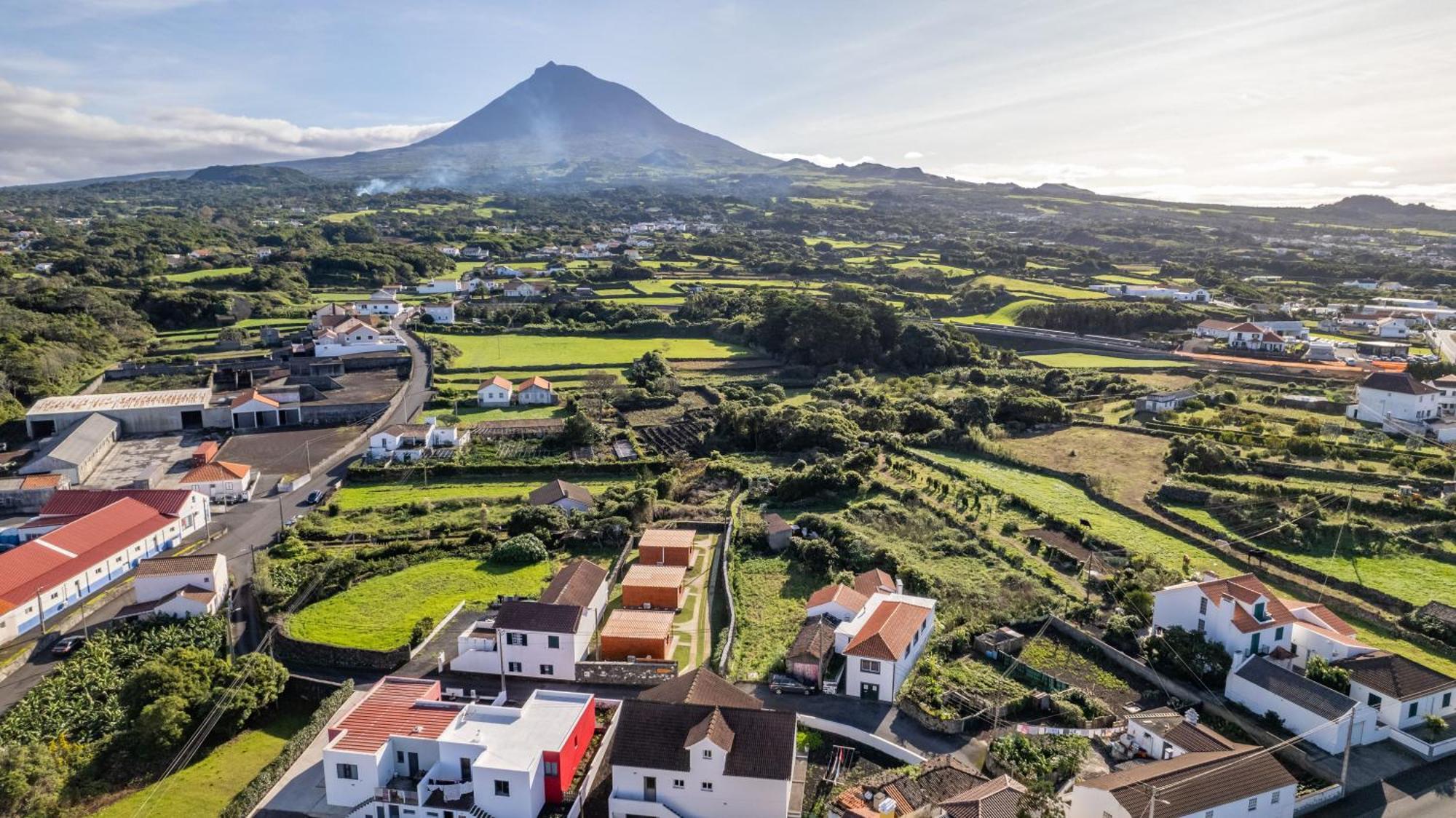 Adega Da Quinta- Moutain Wood Village Apartment *
