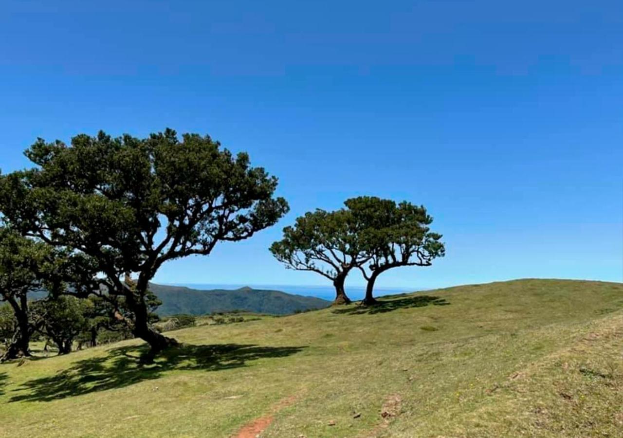 Palheiro Do Farrobo Holiday home *