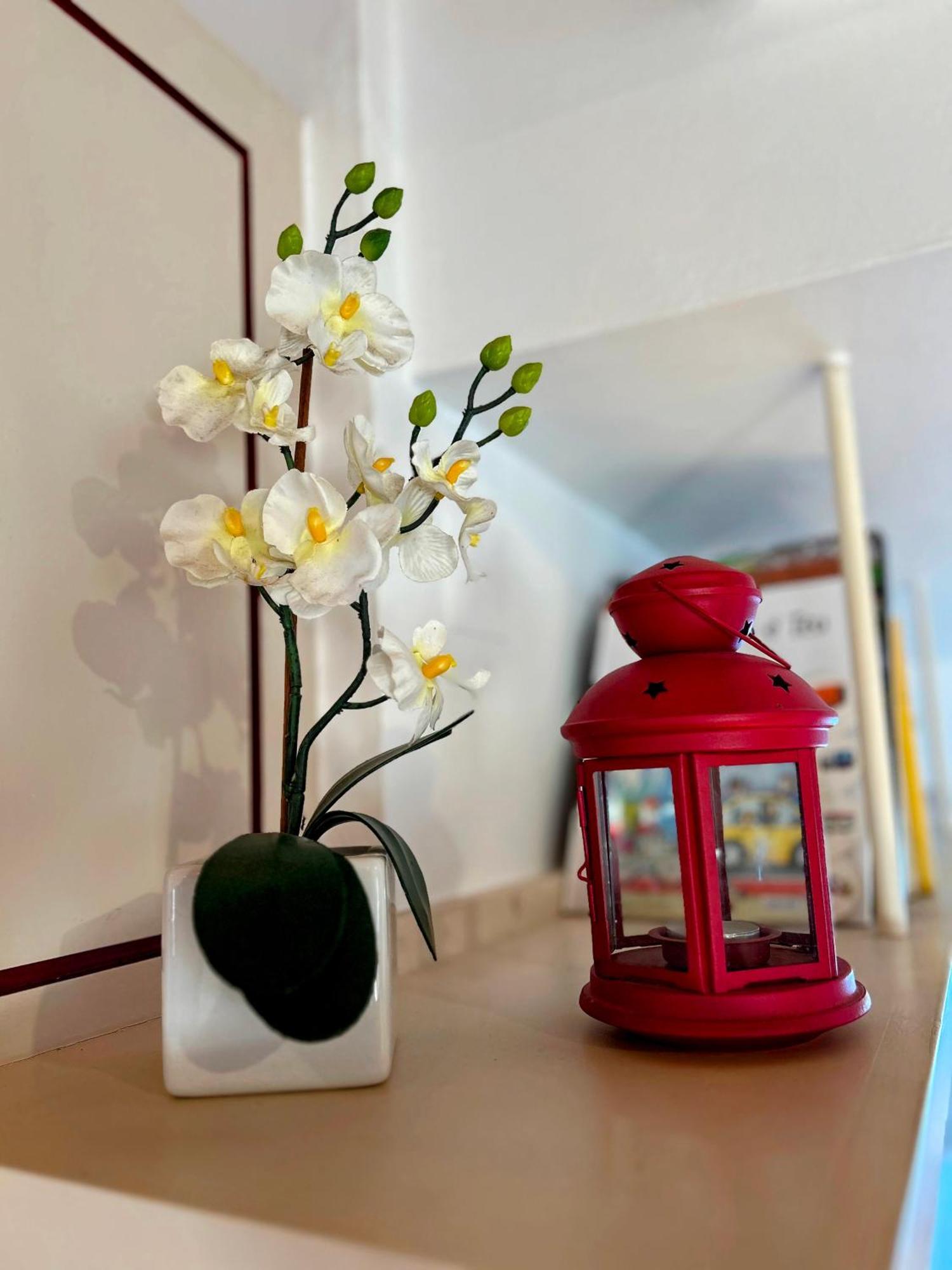 Casas Da Tia Alice - Encantadoras Em Holiday home