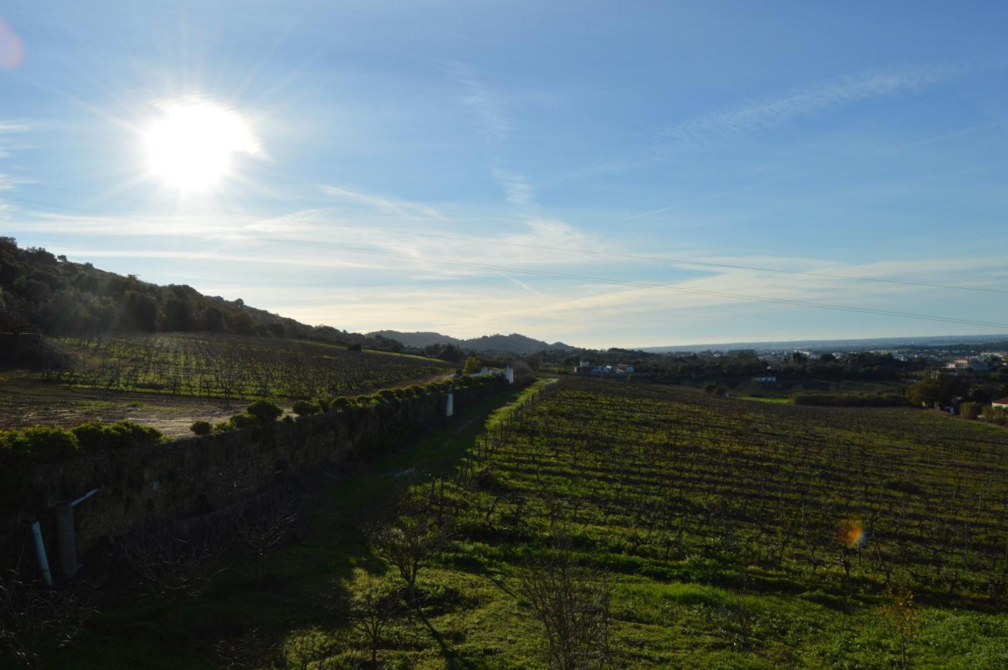 Quinta Do Piloto Casa rural Palmela