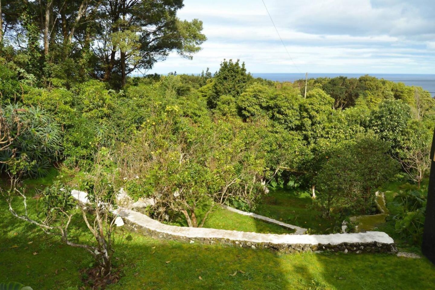 The Emigrant House By Pontanegraazores Homestay