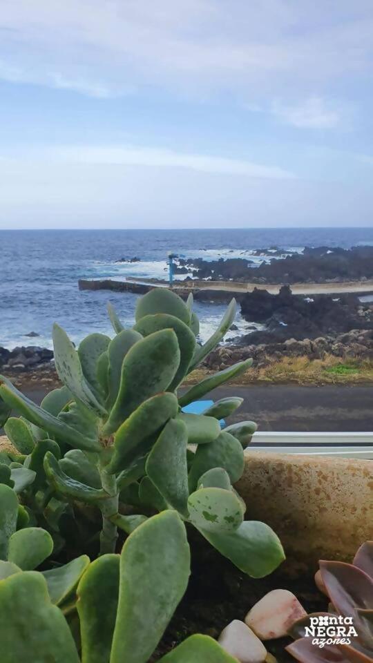 Casa de férias Casa Da Maresia By Pontanegraazores
