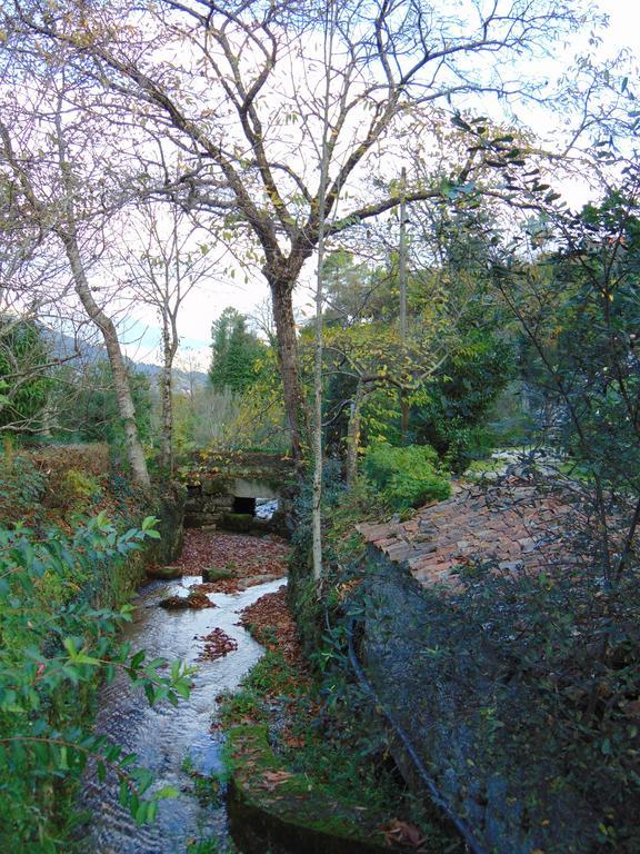 Farm stay Quinta De Barbedo - *