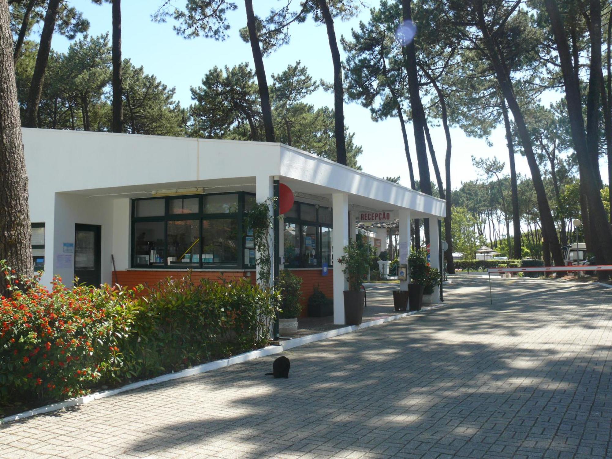 Campsite Parque De Campismo Orbitur 3*
