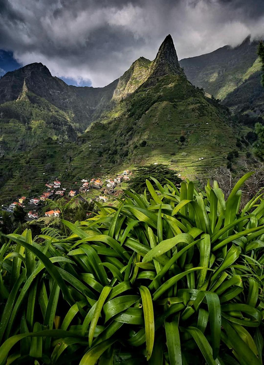 The Artist House Guest house Arco da Calheta (Madeira)