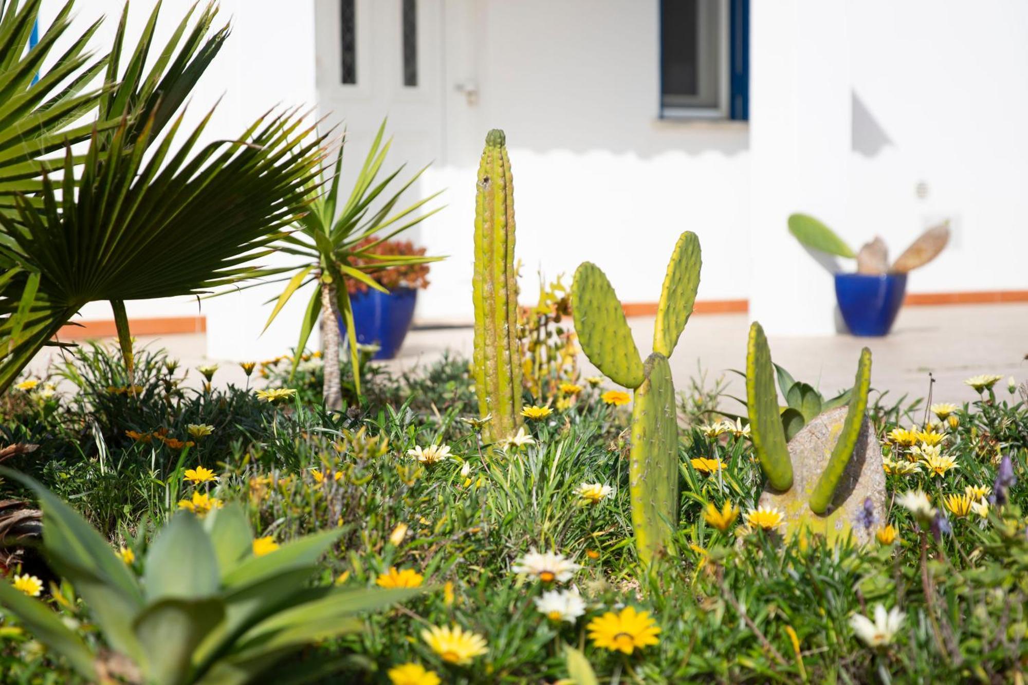 Holiday home Marecasa Aljezur