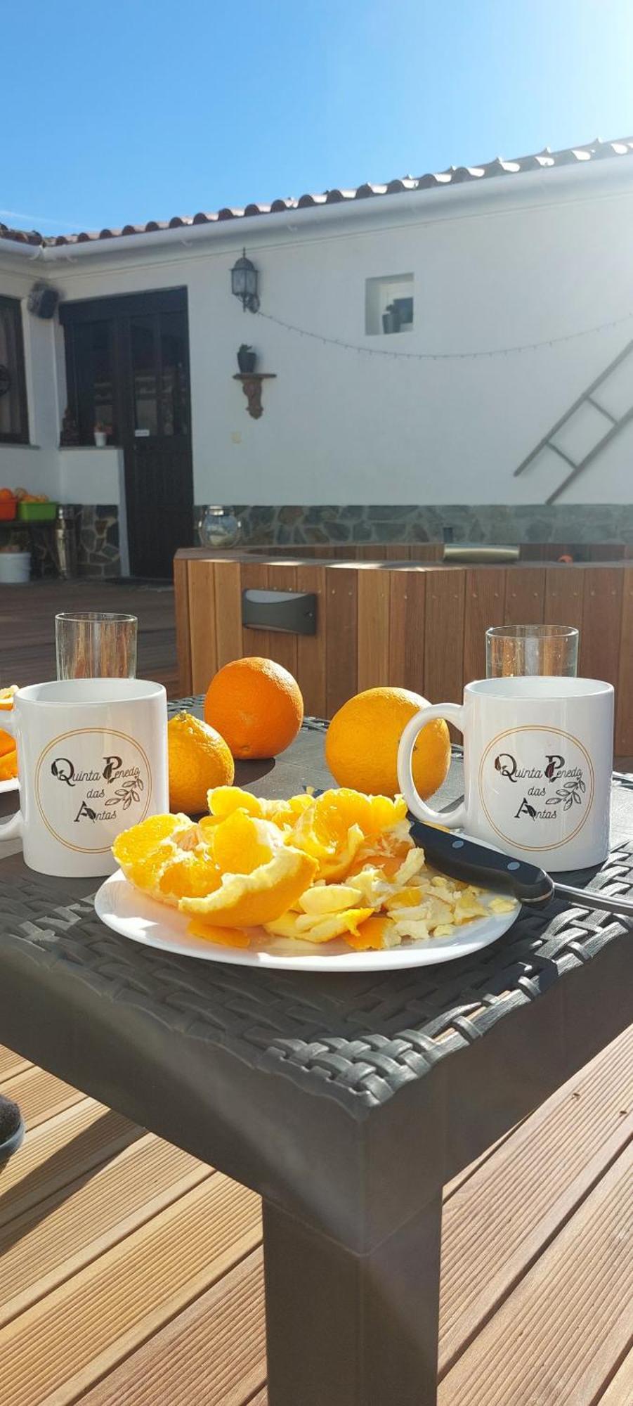 Quinta Penedo Antas - Al Sertã