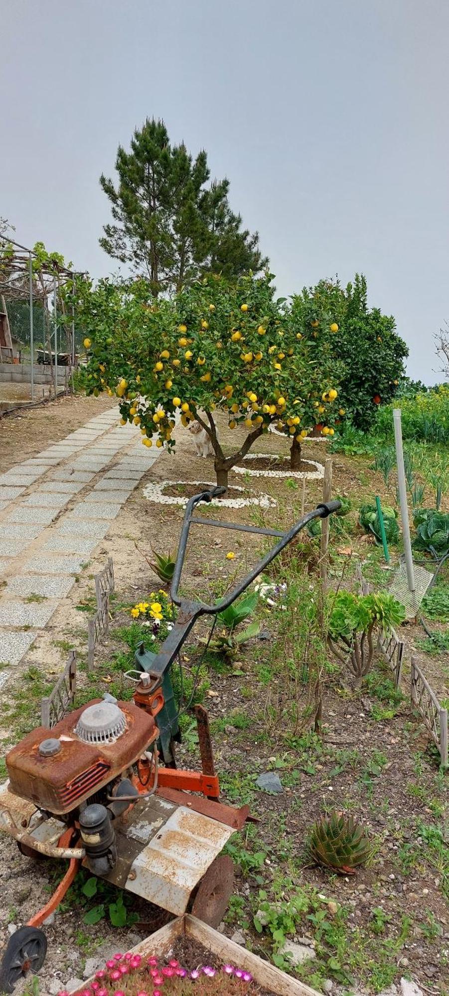 Bed & Breakfast Quinta Penedo Antas - Al Sertã