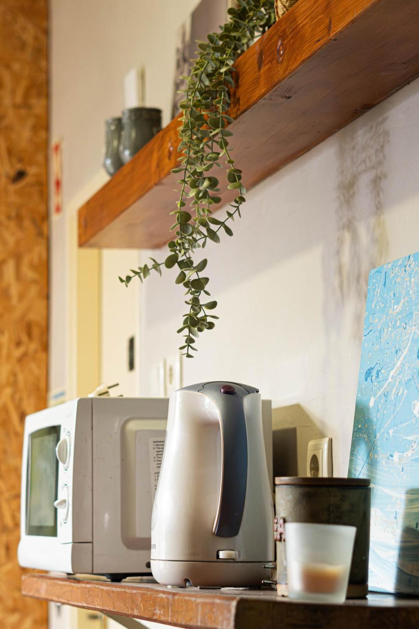 Eco - Tribo Da Hostel Ferrel (Leiria)