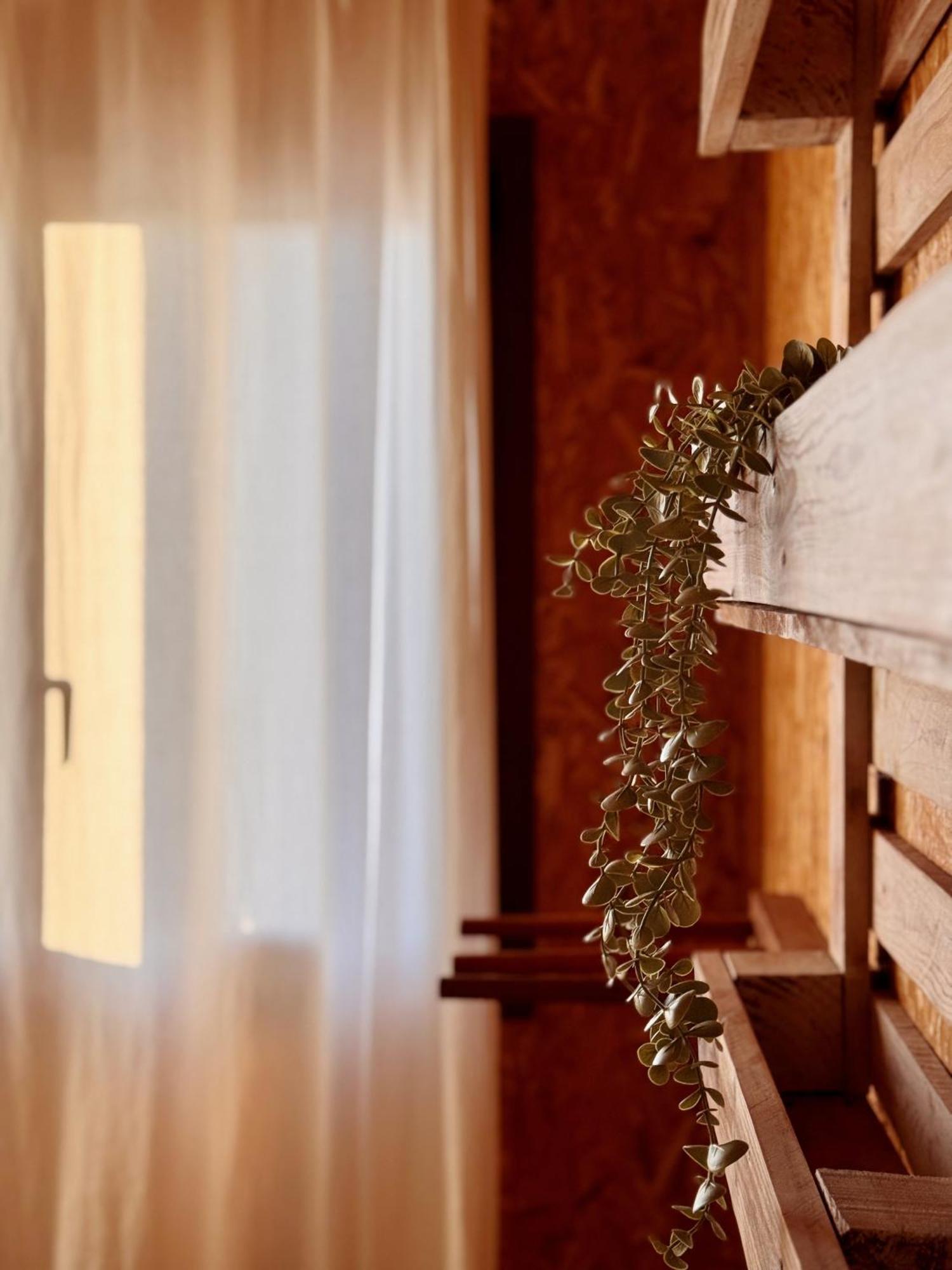 Hostel Eco - Tribo Da