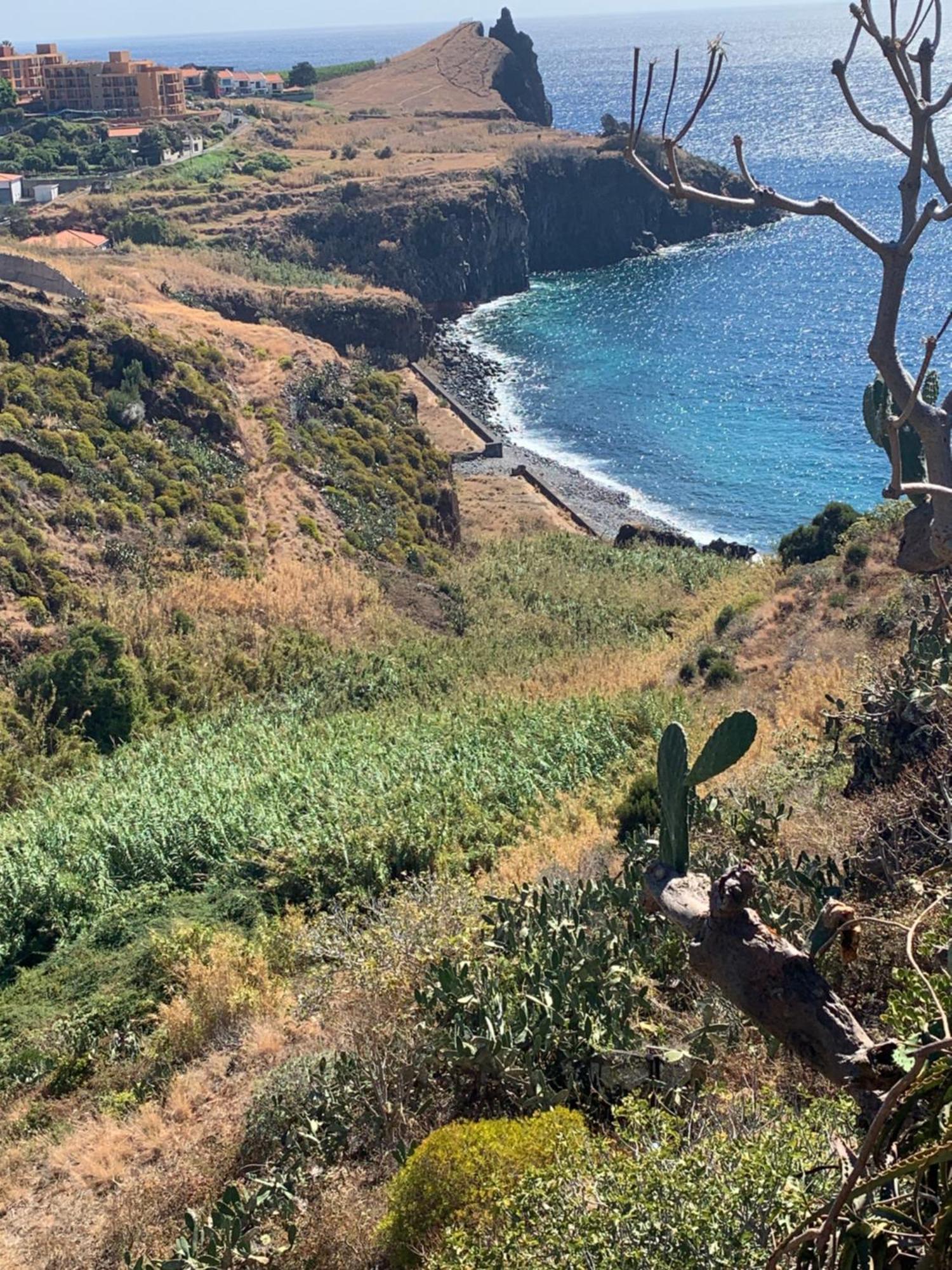Ocean View