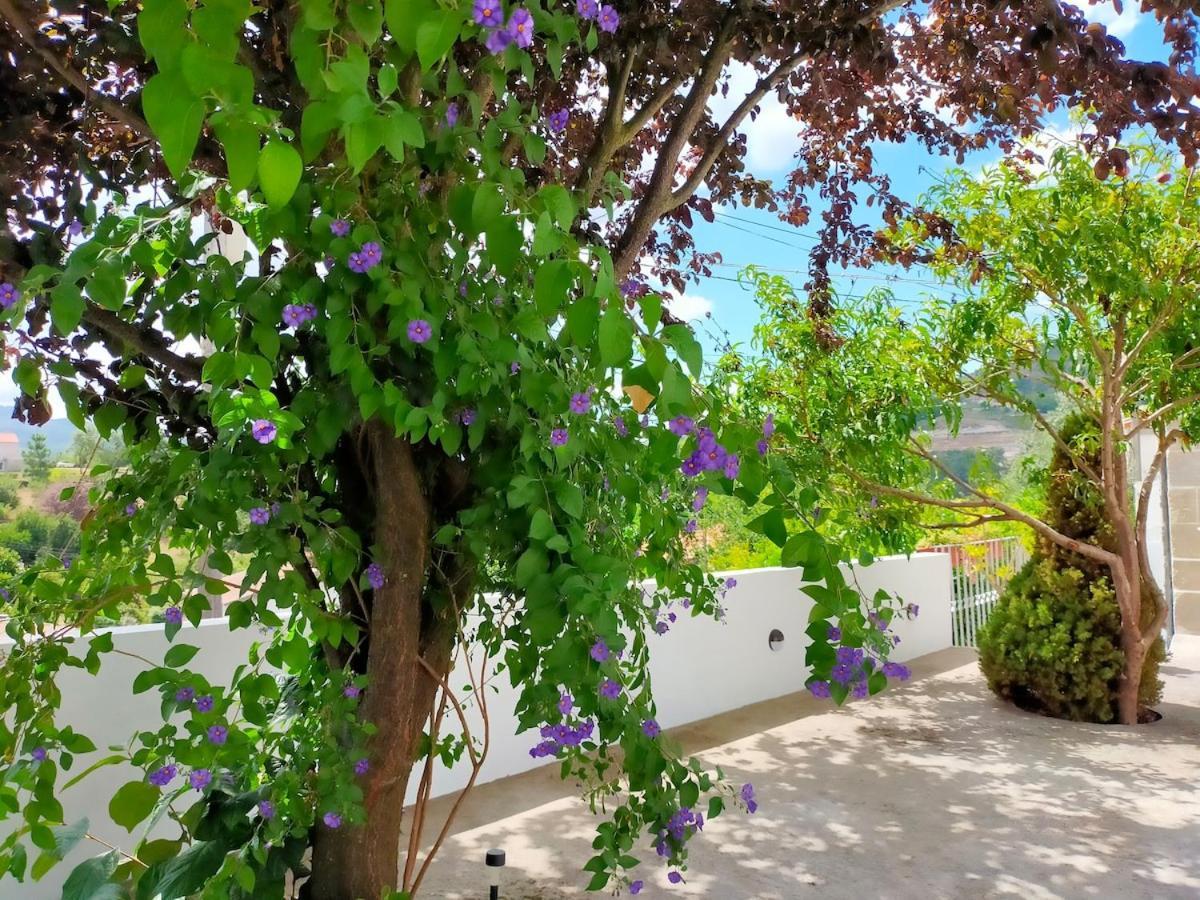 Miguas House Holiday home Baiao