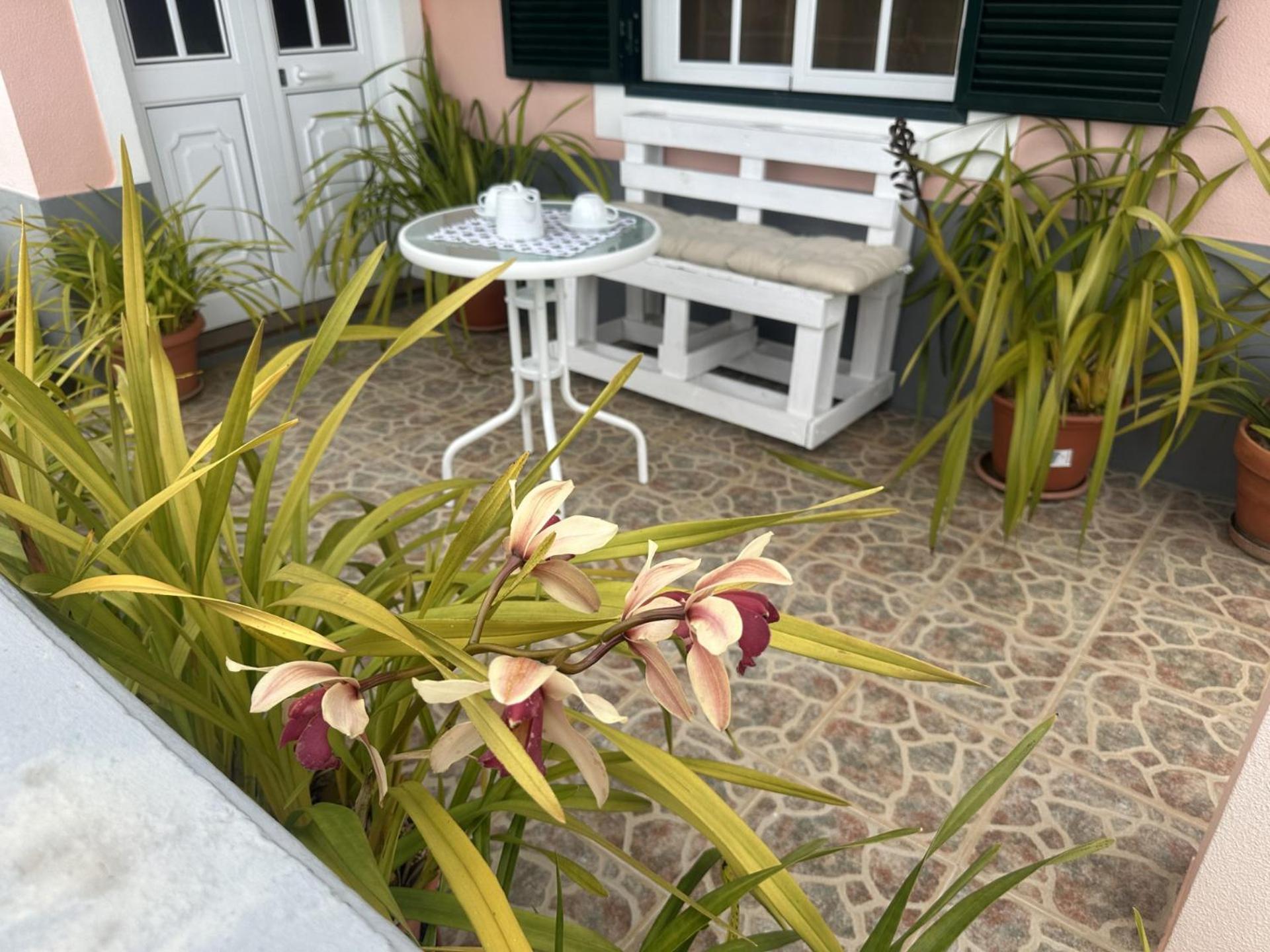 Casa Mary Bela's Ponta do Sol (Madeira)