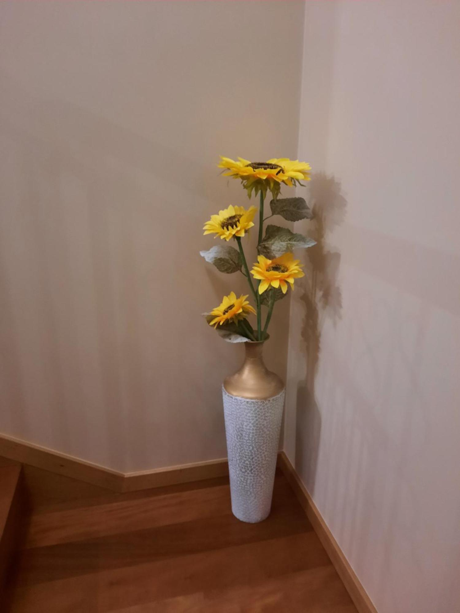Rose Sun House