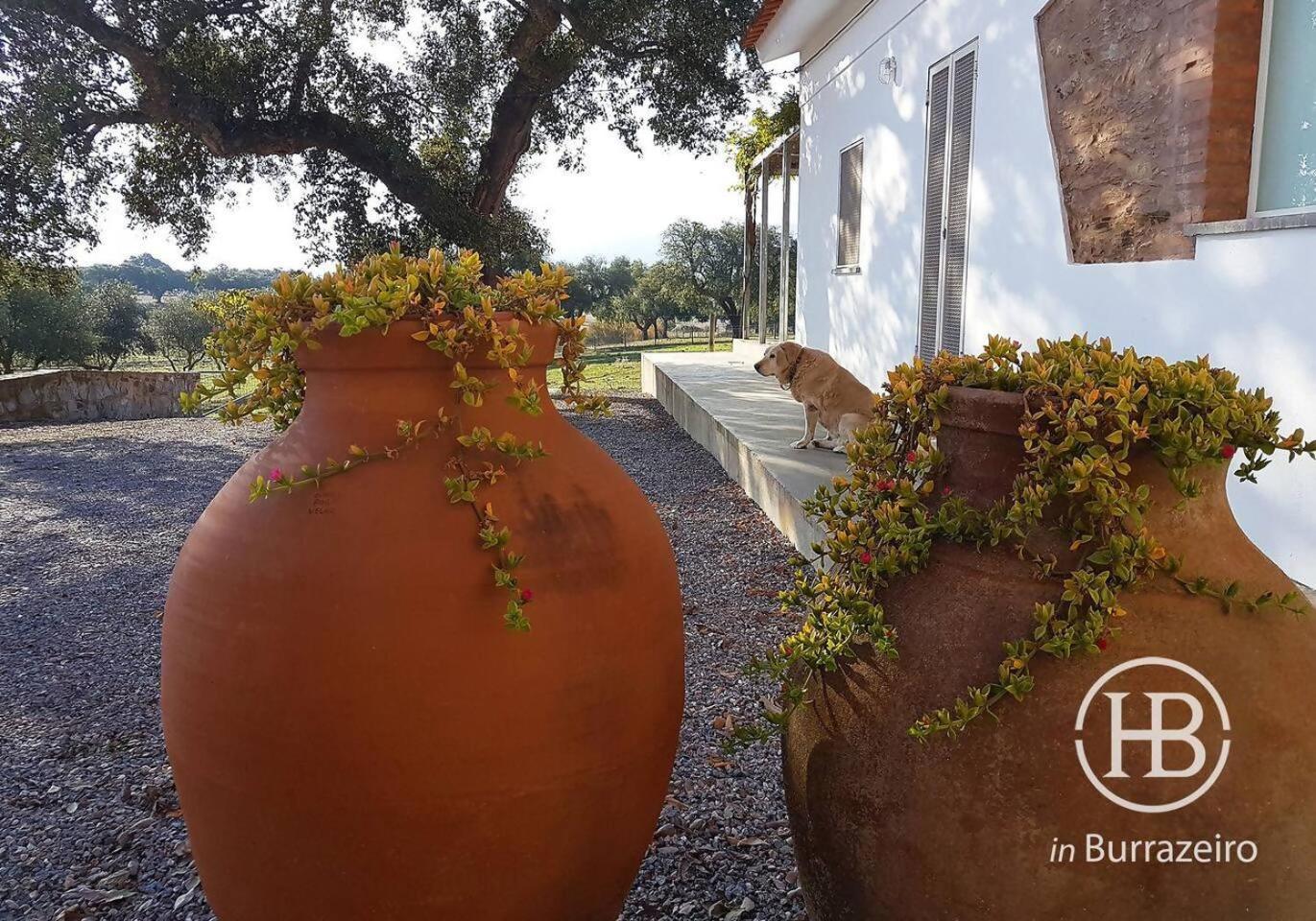 Lodge Herdade Do Burrazeiro No Alentejo *
