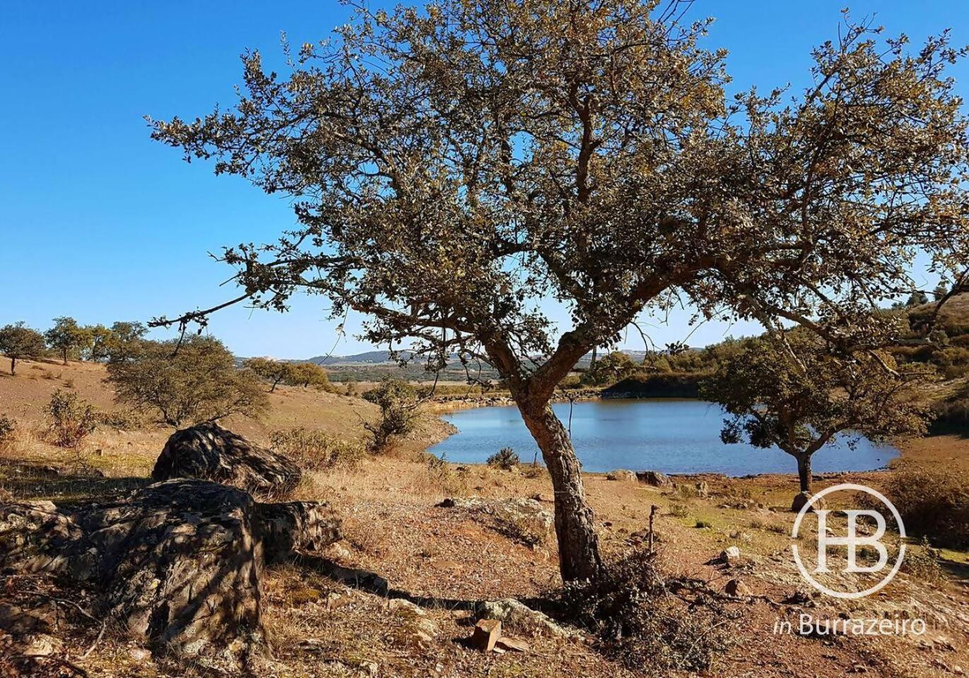 Herdade Do Burrazeiro No Alentejo Borba