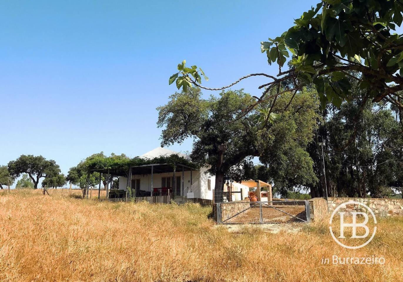 Herdade Do Burrazeiro No Alentejo * Borba