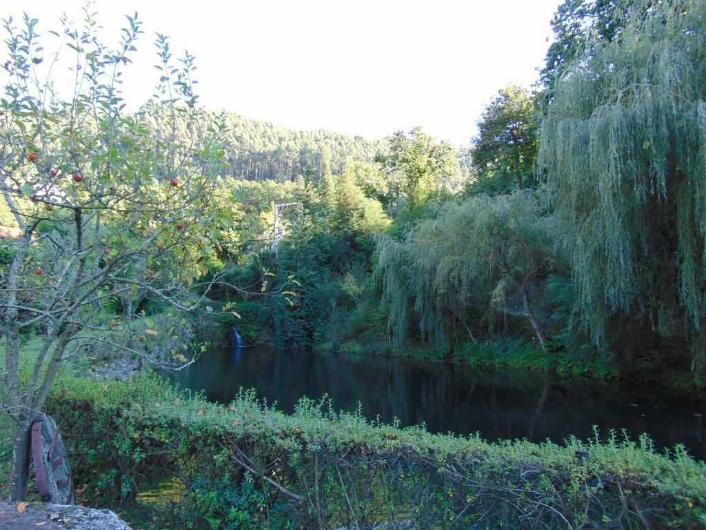 Quinta De Barbedo - Farm stay