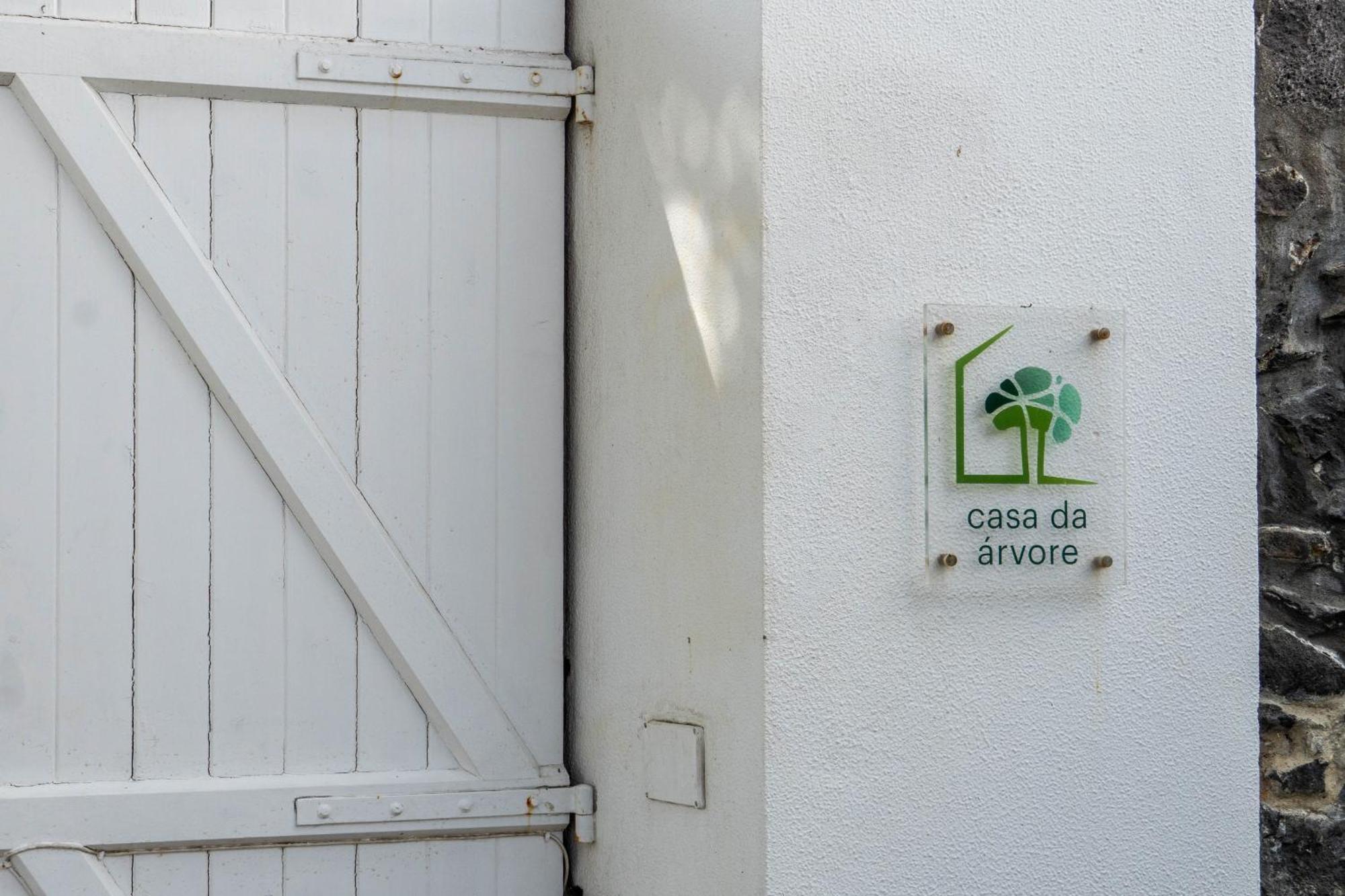 Casa Da Arvore