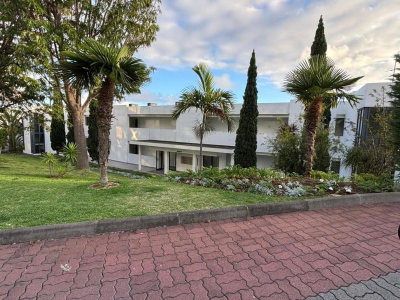 Apartment Paradisus