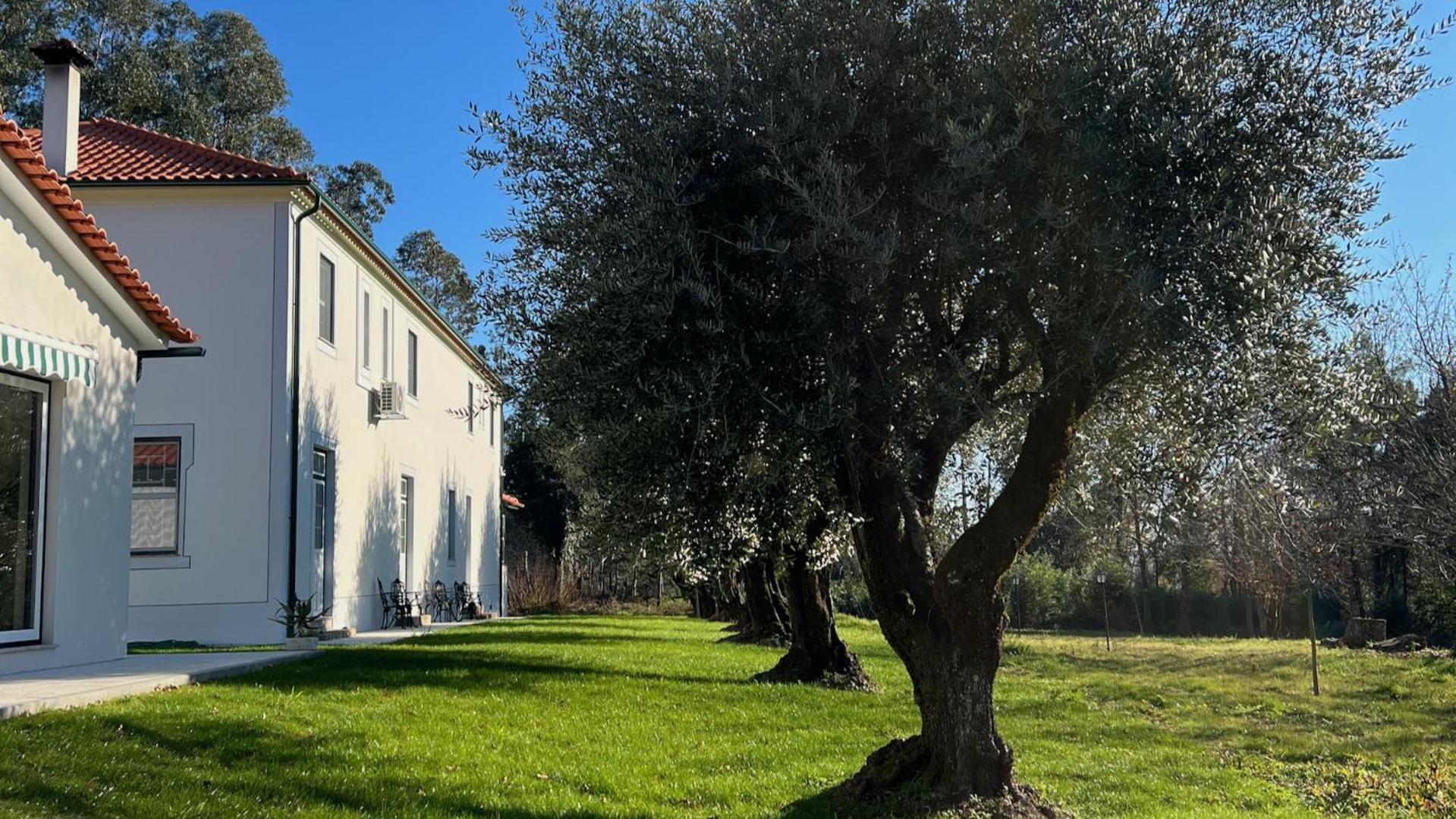 Bed & Breakfast Catrinandes - Retreat Center Tondela