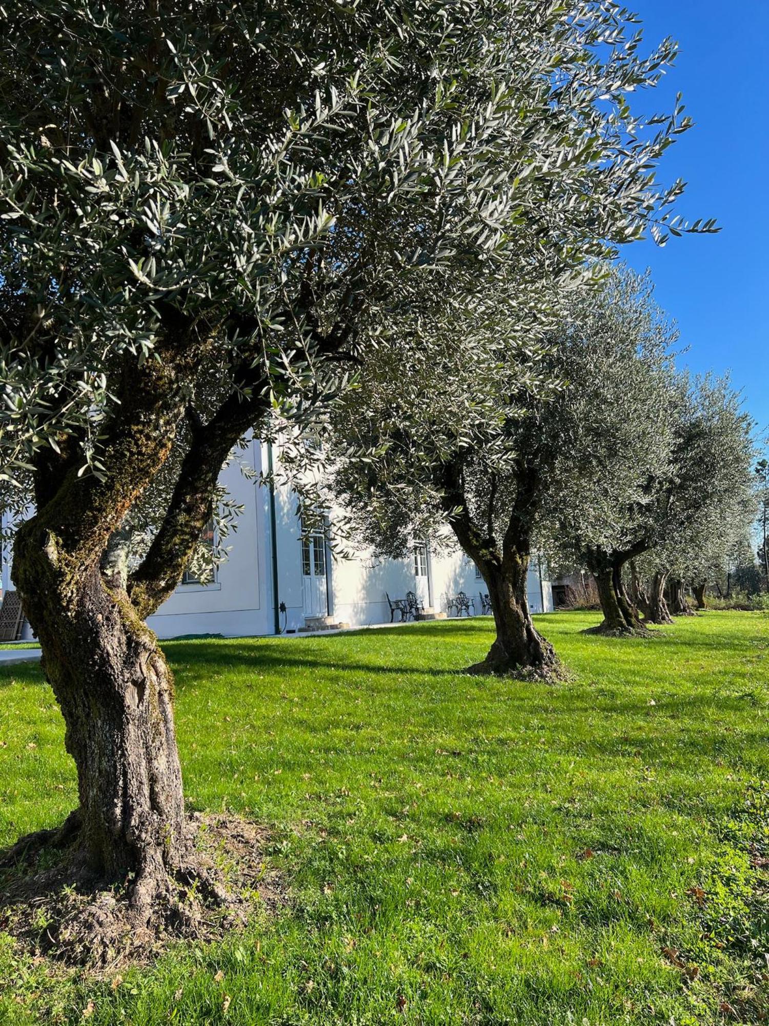 Catrinandes - Retreat Center