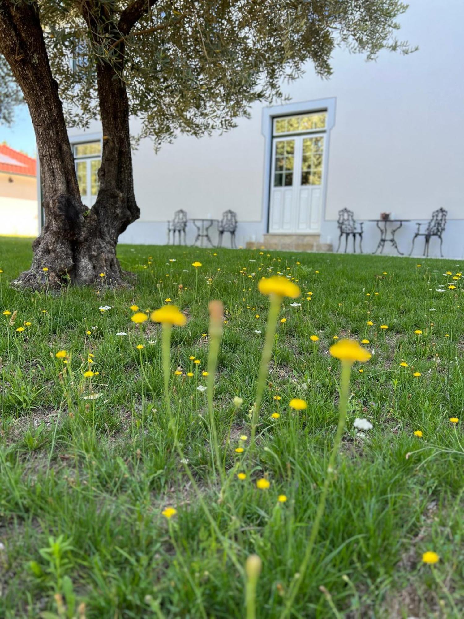 Catrinandes - Retreat Center * Tondela