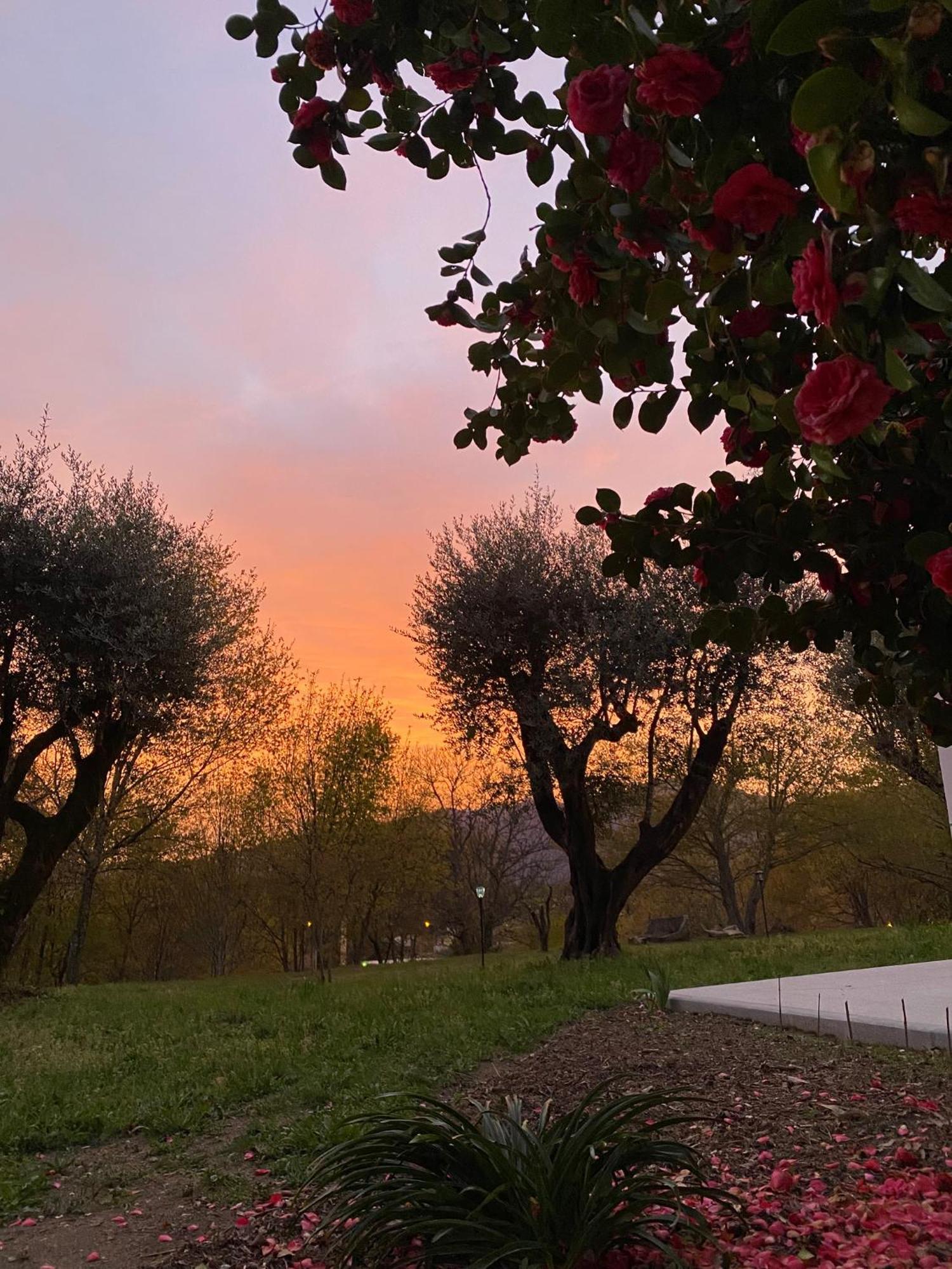 Bed & Breakfast Catrinandes - Retreat Center Tondela