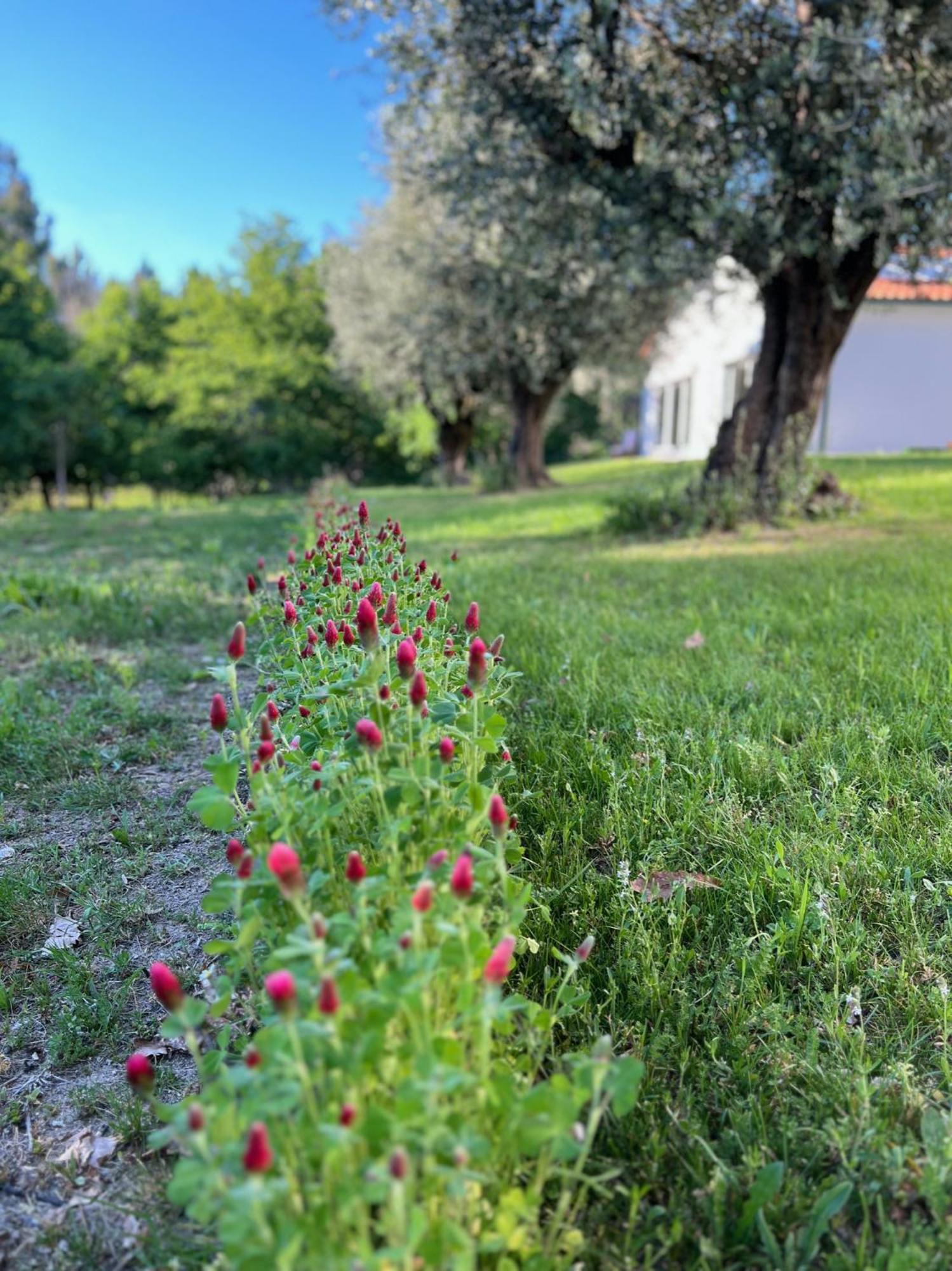 Catrinandes - Retreat Center