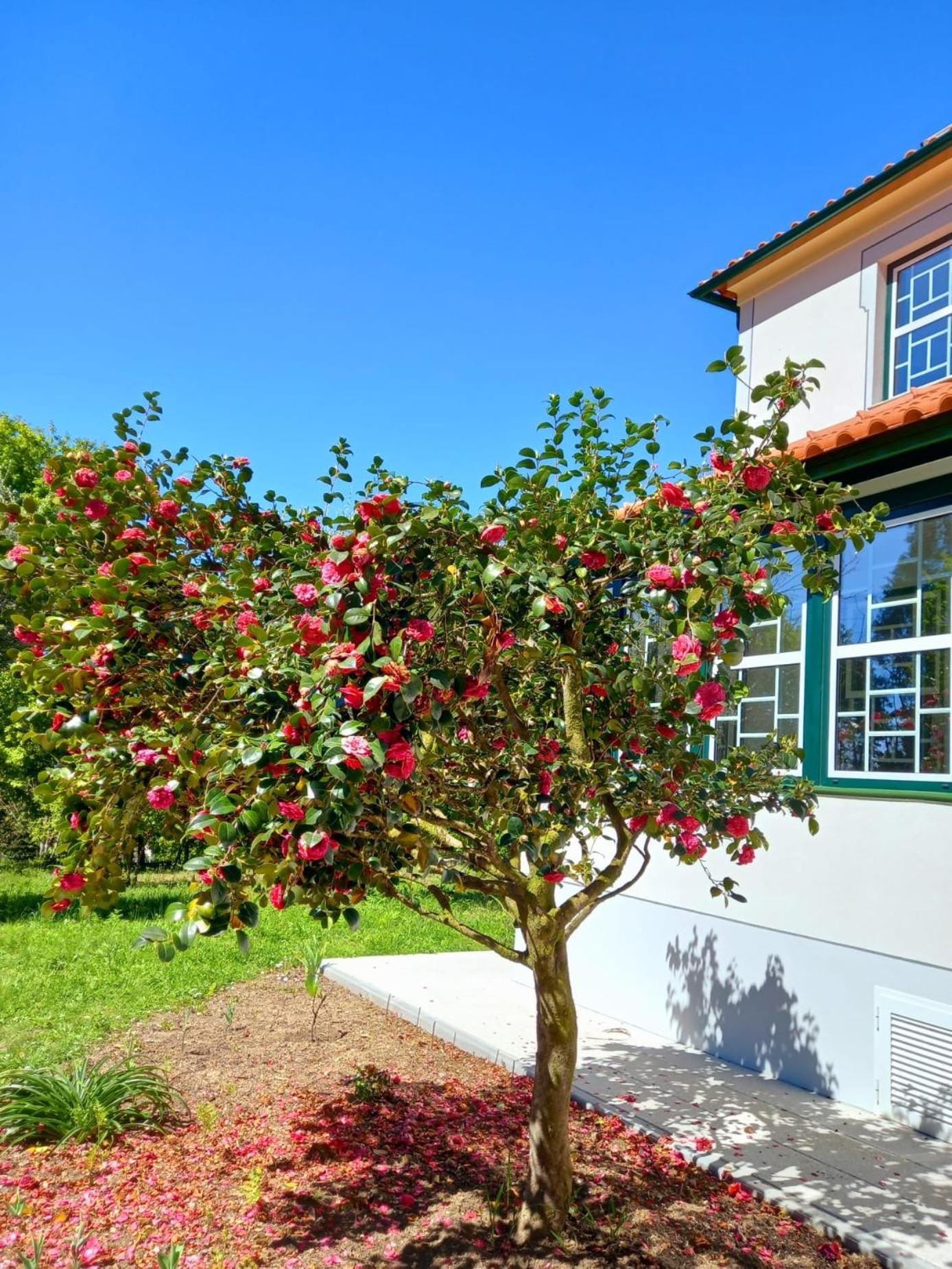 Catrinandes - Retreat Center Bed & Breakfast