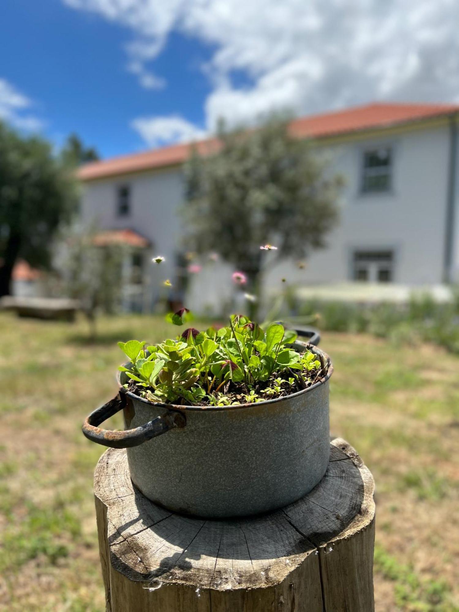 Bed & Breakfast Catrinandes - Retreat Center Tondela