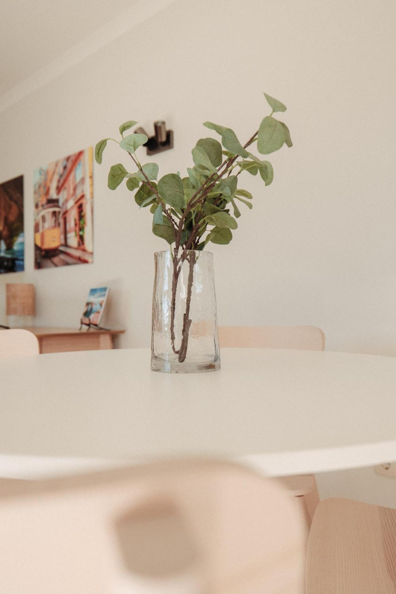 Apartamento Casa Velha - Adults Friendly