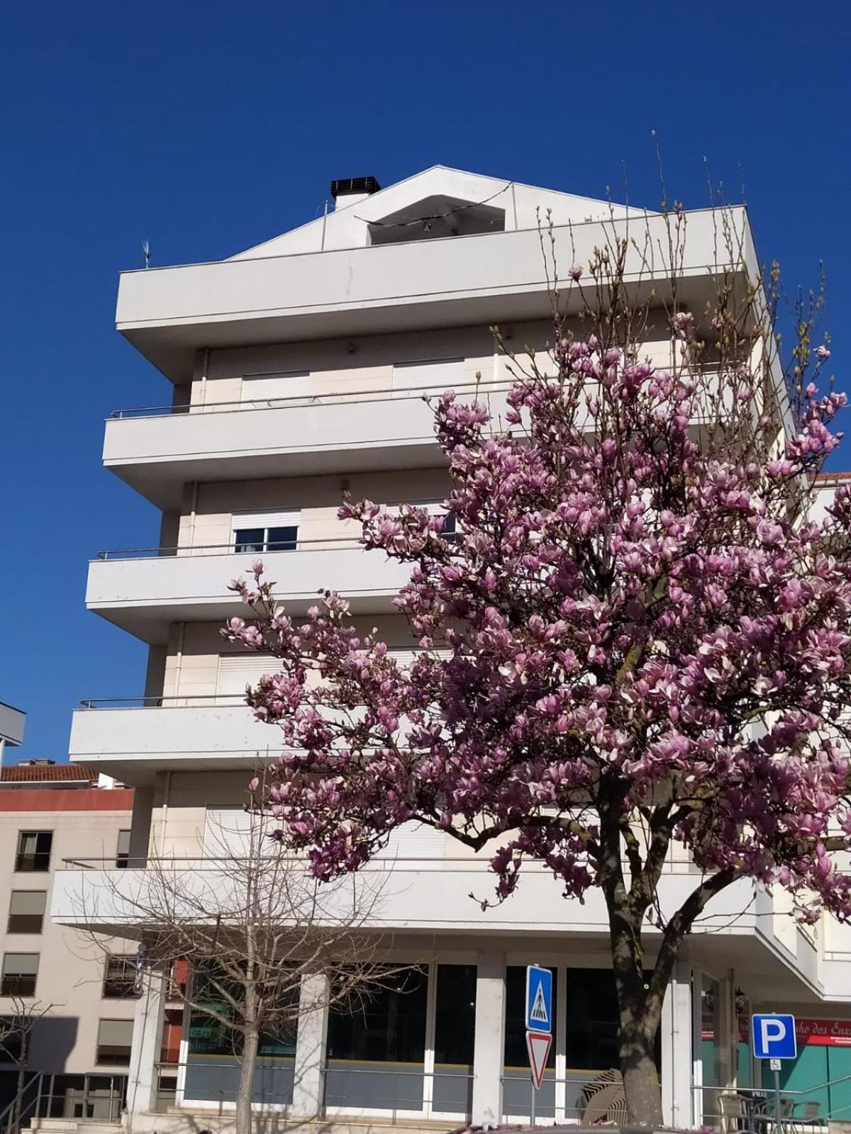 Guest house Varandas House *