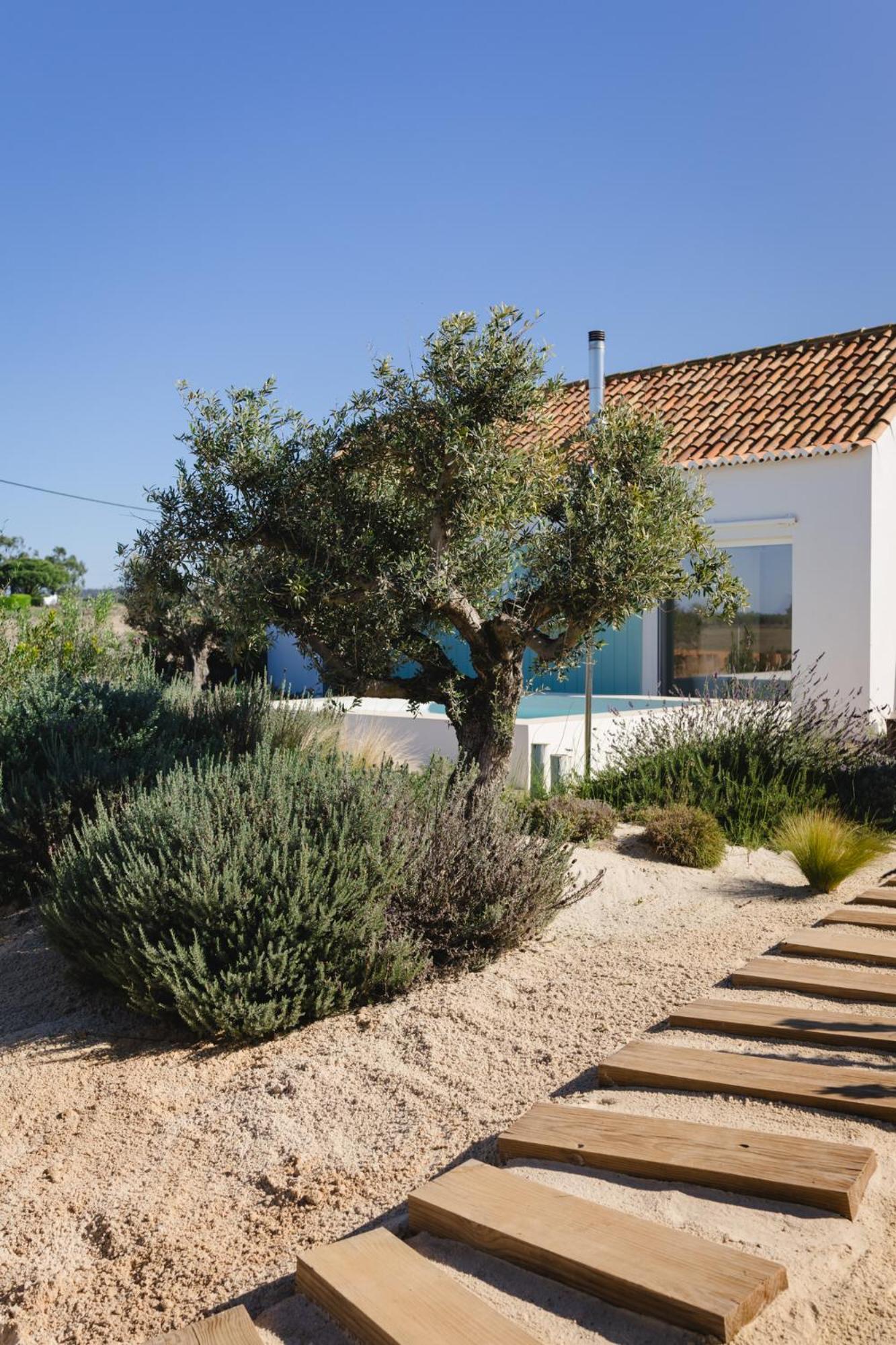 Holiday home Casa Calmar *