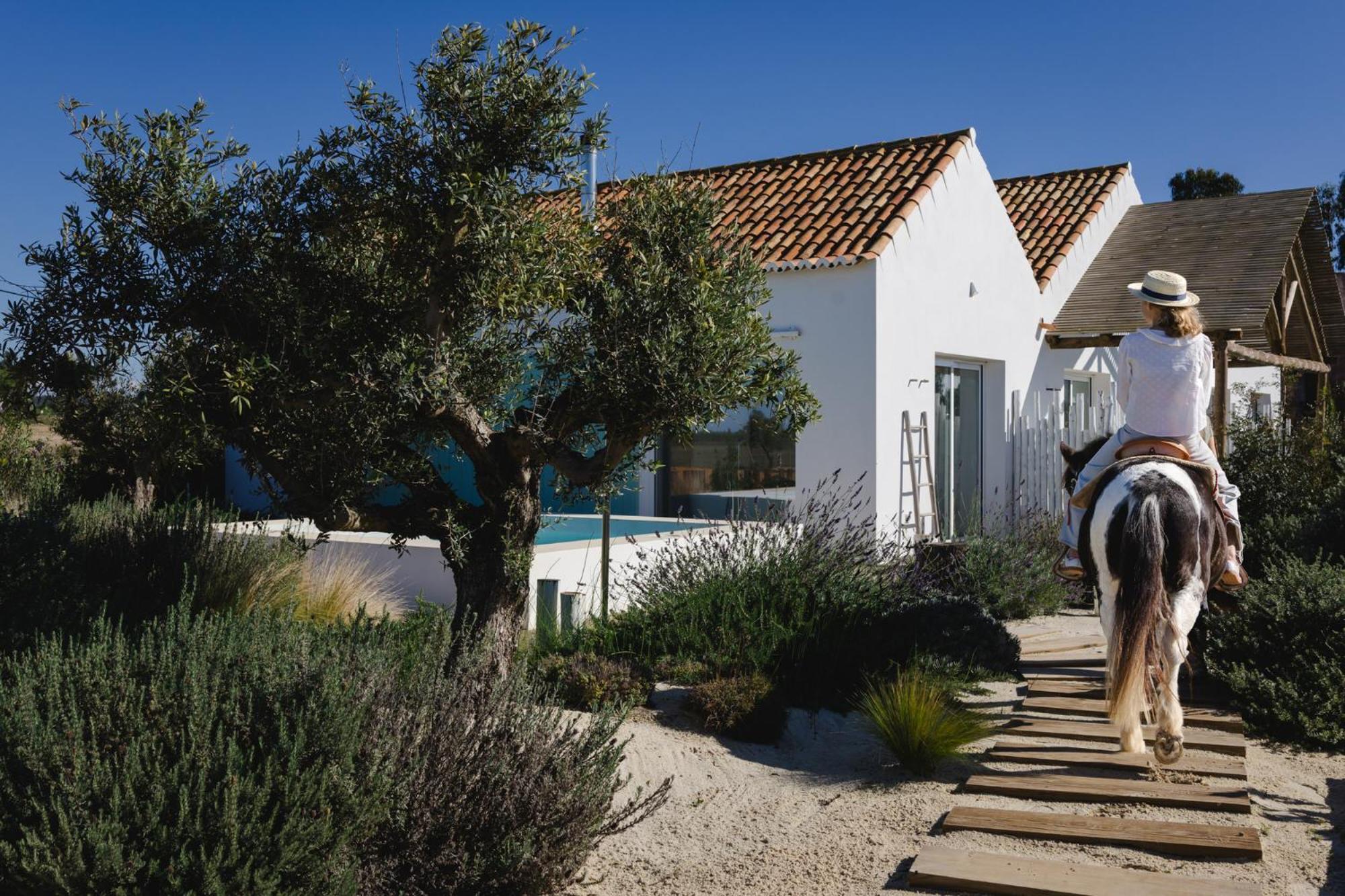Holiday home Casa Calmar Porto Covo