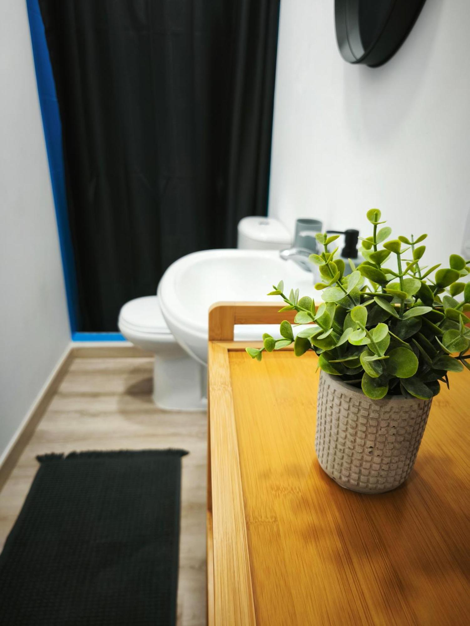 Apartment Montecorujeira Funchal (Madeira)